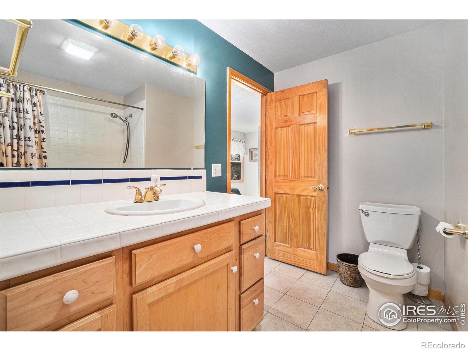 MLS Image #26 for 1056  fall river court,estes park, Colorado
