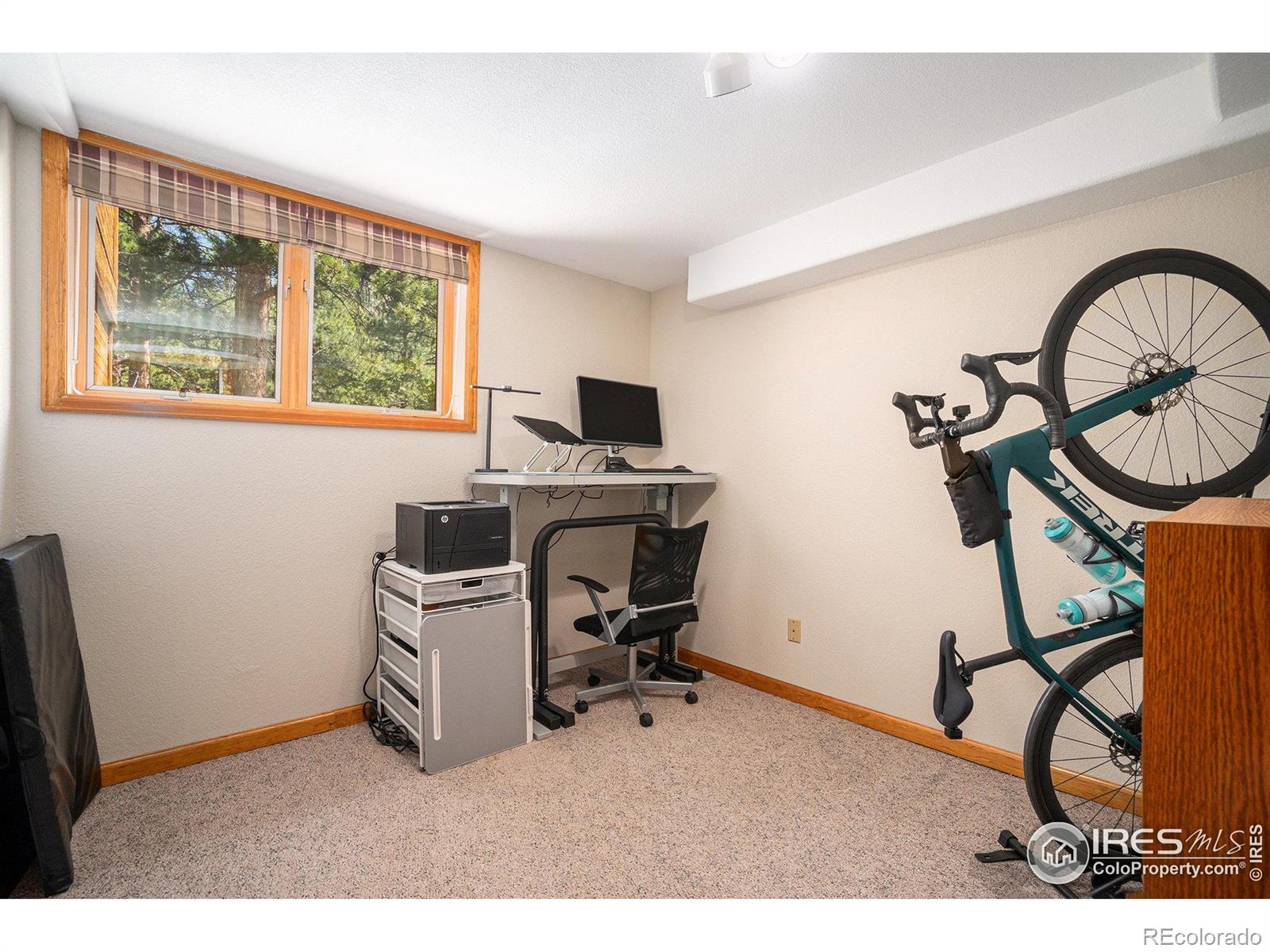 MLS Image #30 for 1056  fall river court,estes park, Colorado