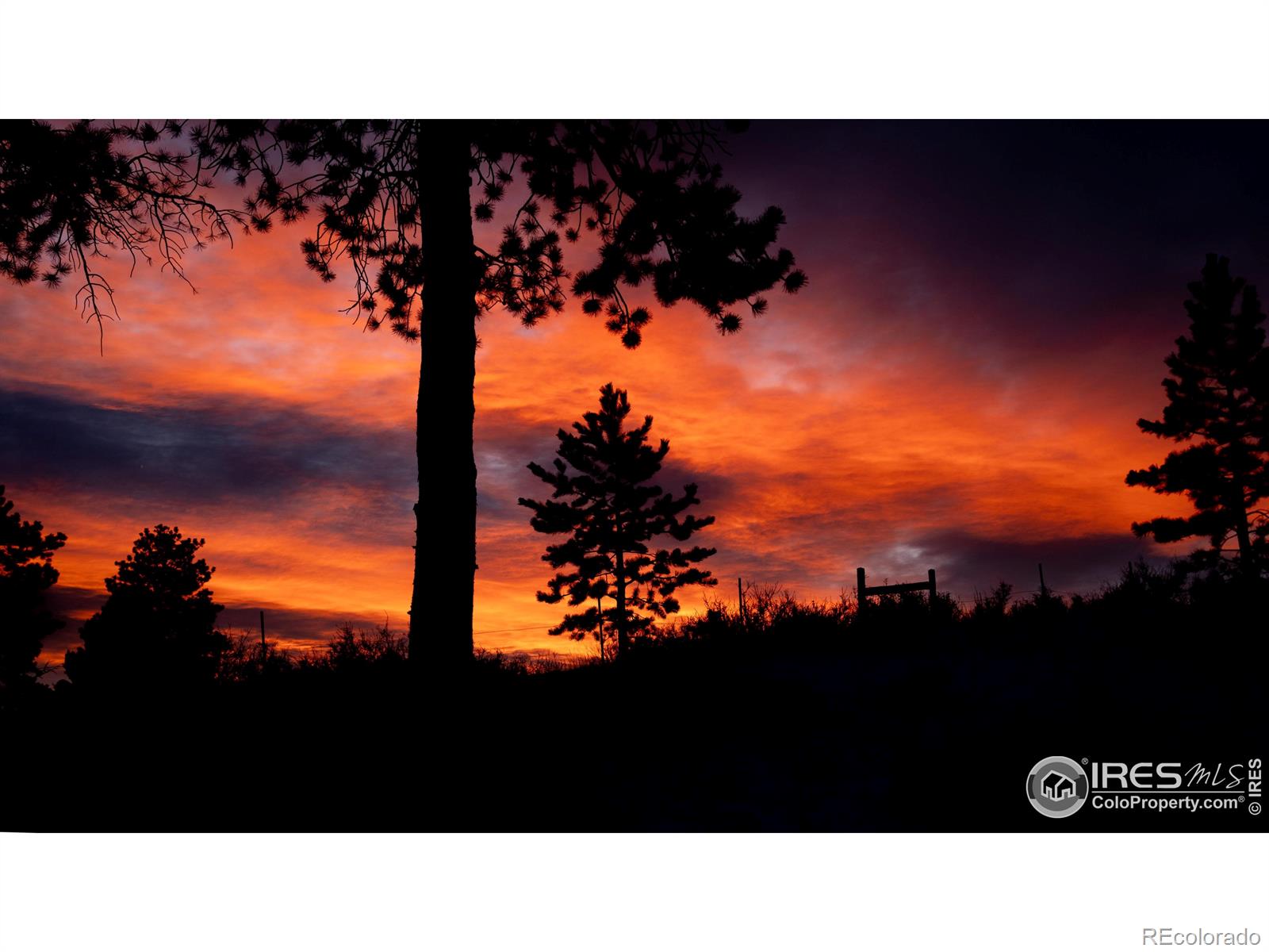 MLS Image #35 for 1056  fall river court,estes park, Colorado