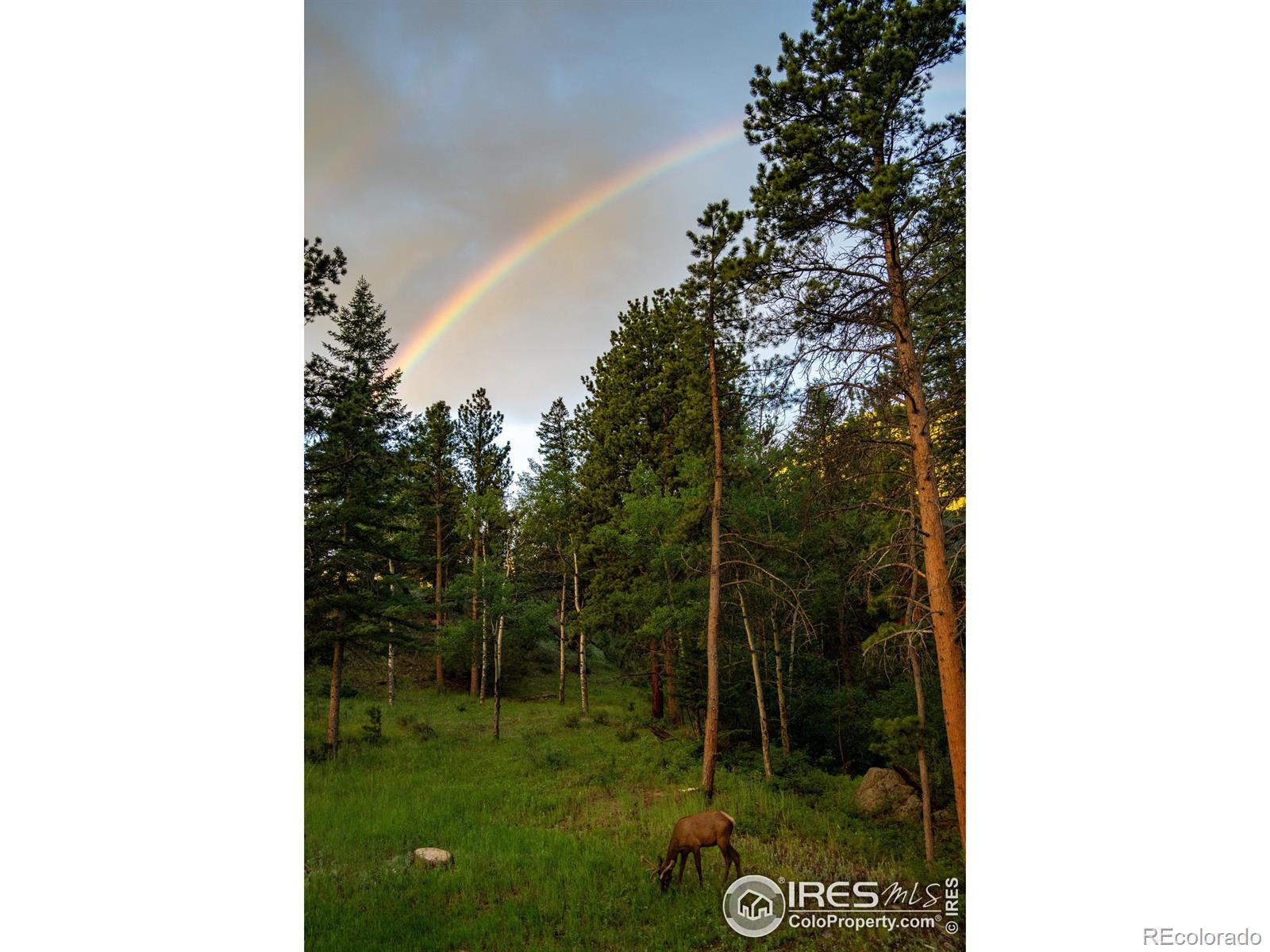 MLS Image #36 for 1056  fall river court,estes park, Colorado