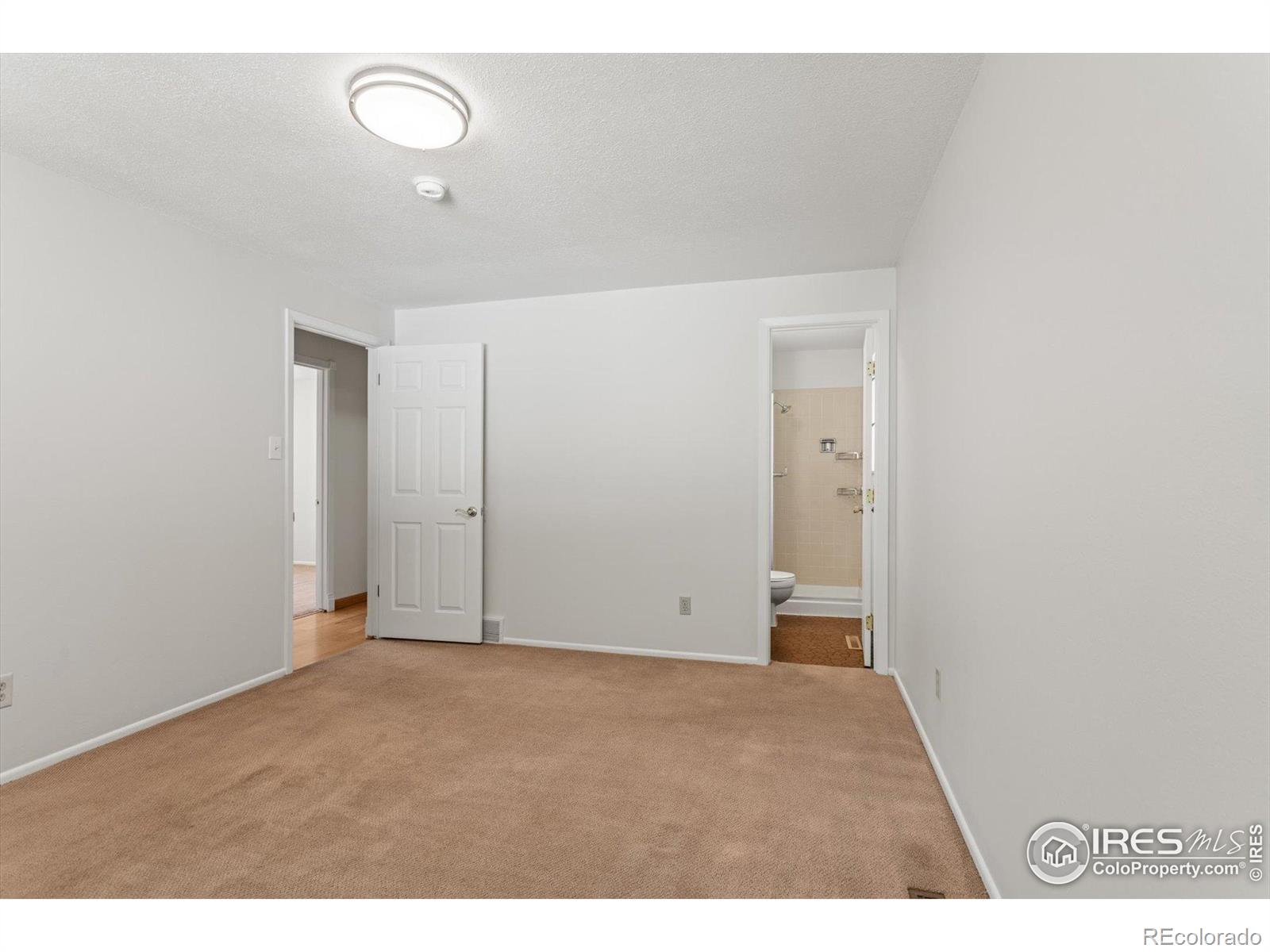 MLS Image #13 for 603  hilltop street,longmont, Colorado