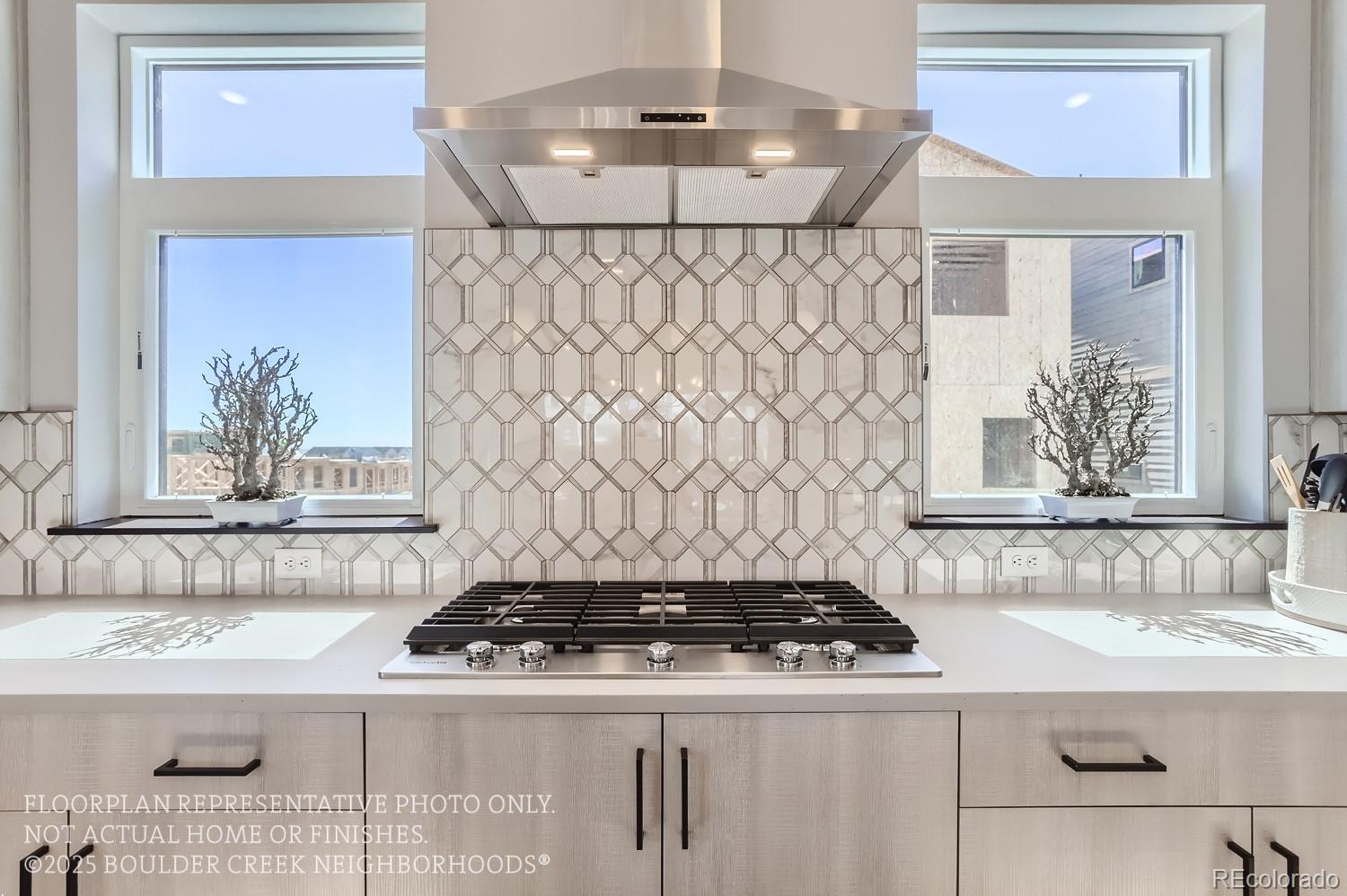 MLS Image #14 for 1768  peak loop,broomfield, Colorado