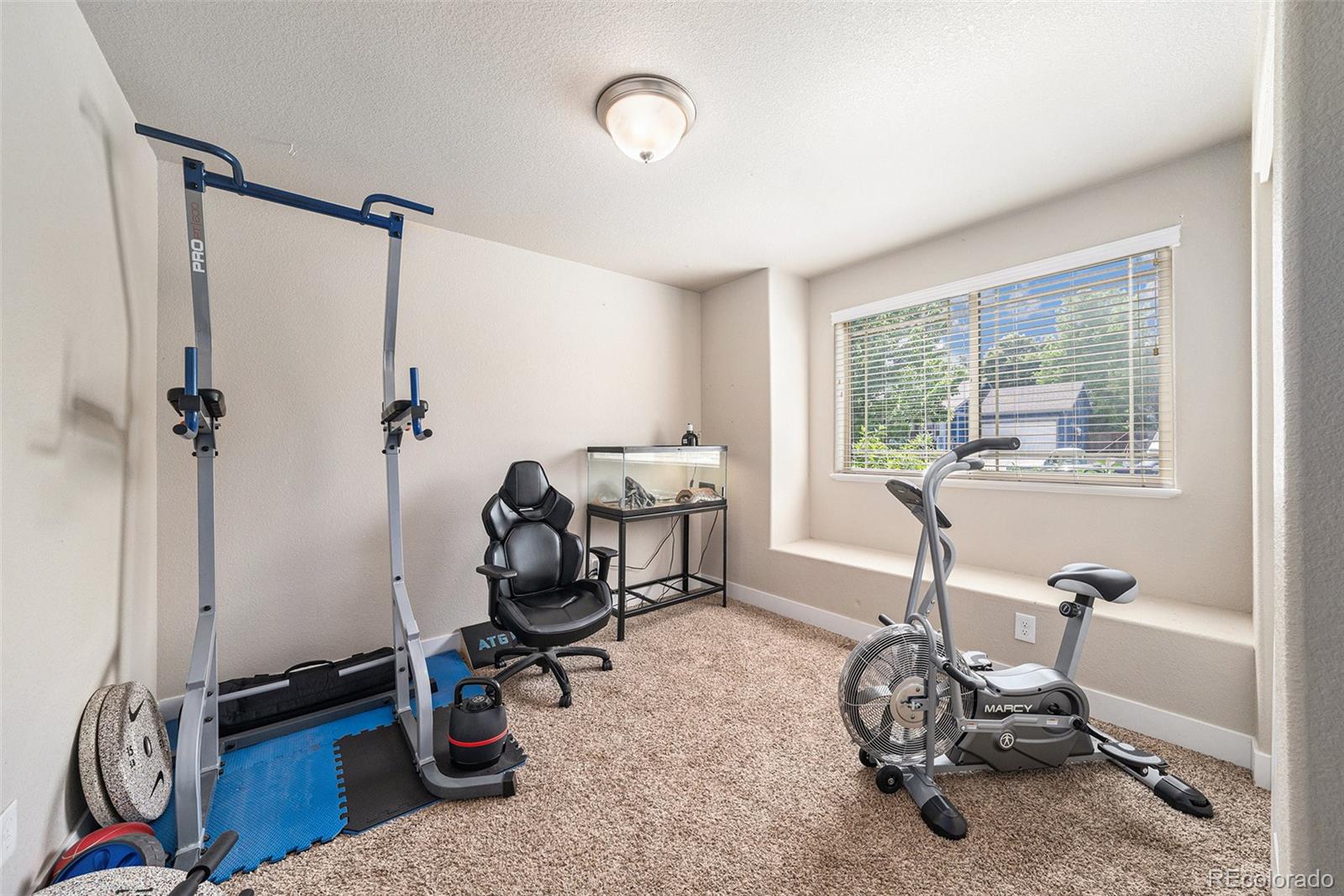 MLS Image #14 for 884  cliffrose way,severance, Colorado