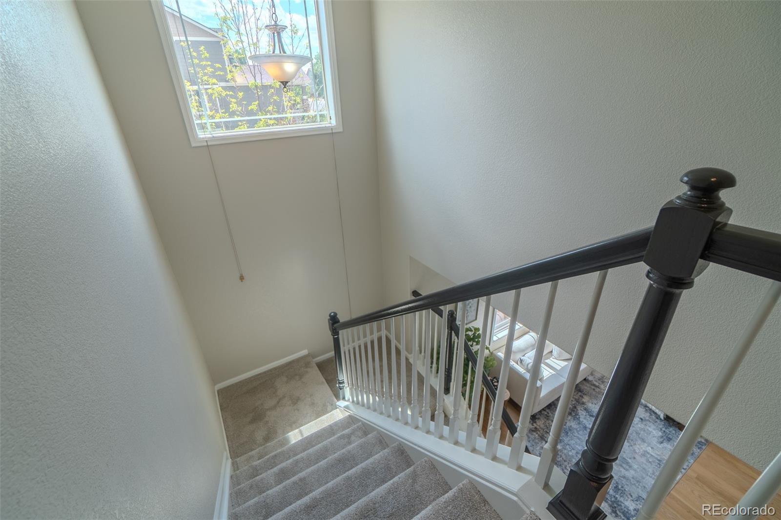 MLS Image #14 for 2908  open sky way,castle rock, Colorado