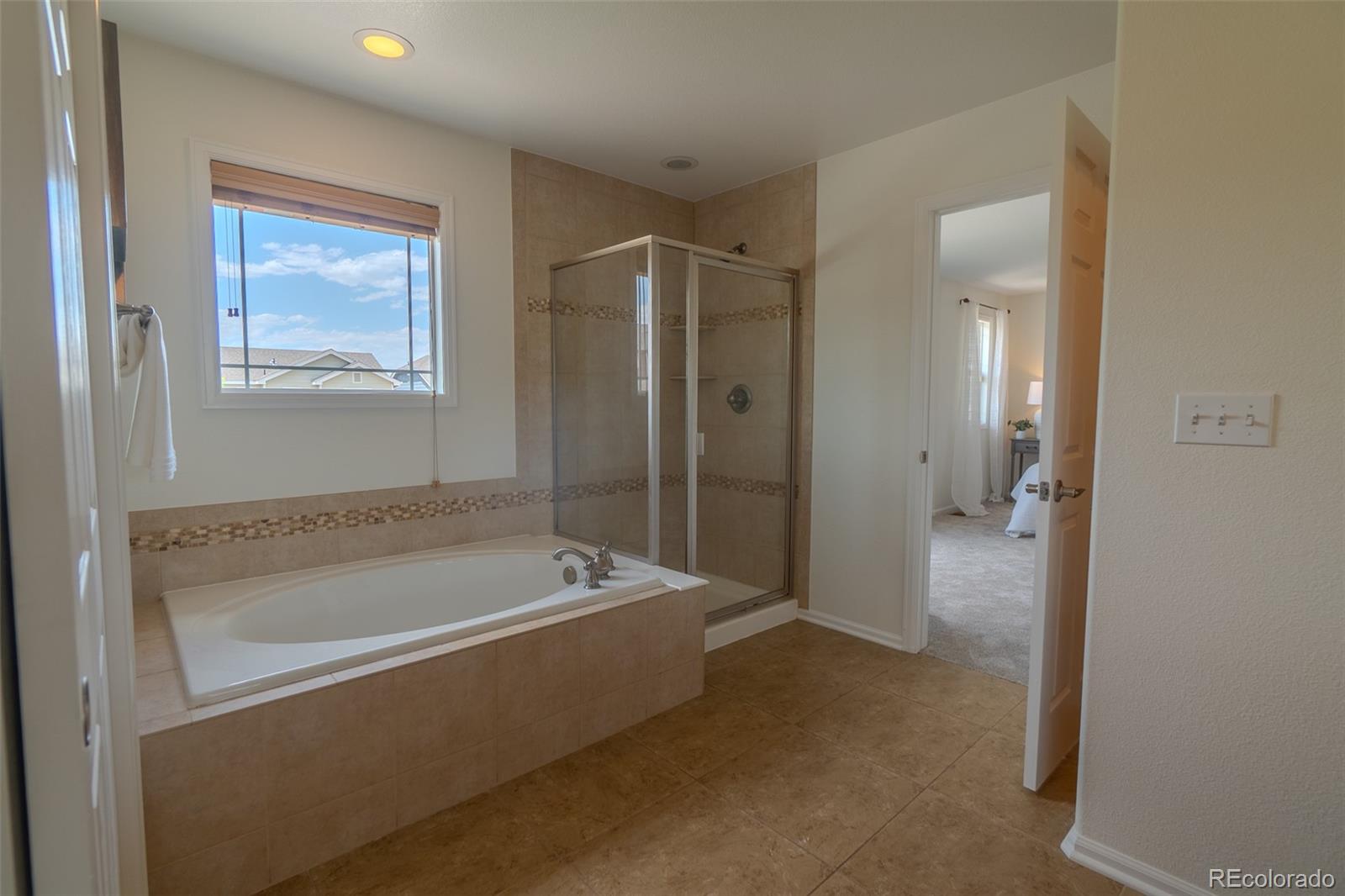 MLS Image #20 for 2908  open sky way,castle rock, Colorado