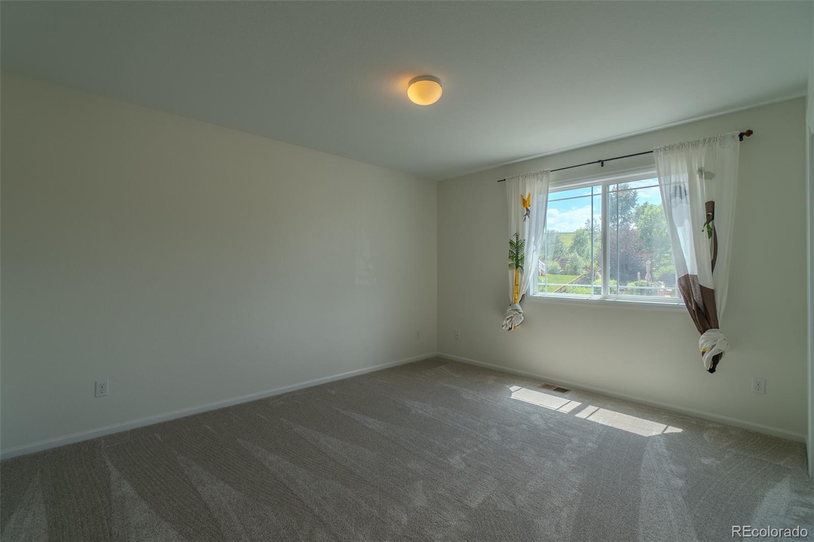 MLS Image #24 for 2908  open sky way,castle rock, Colorado
