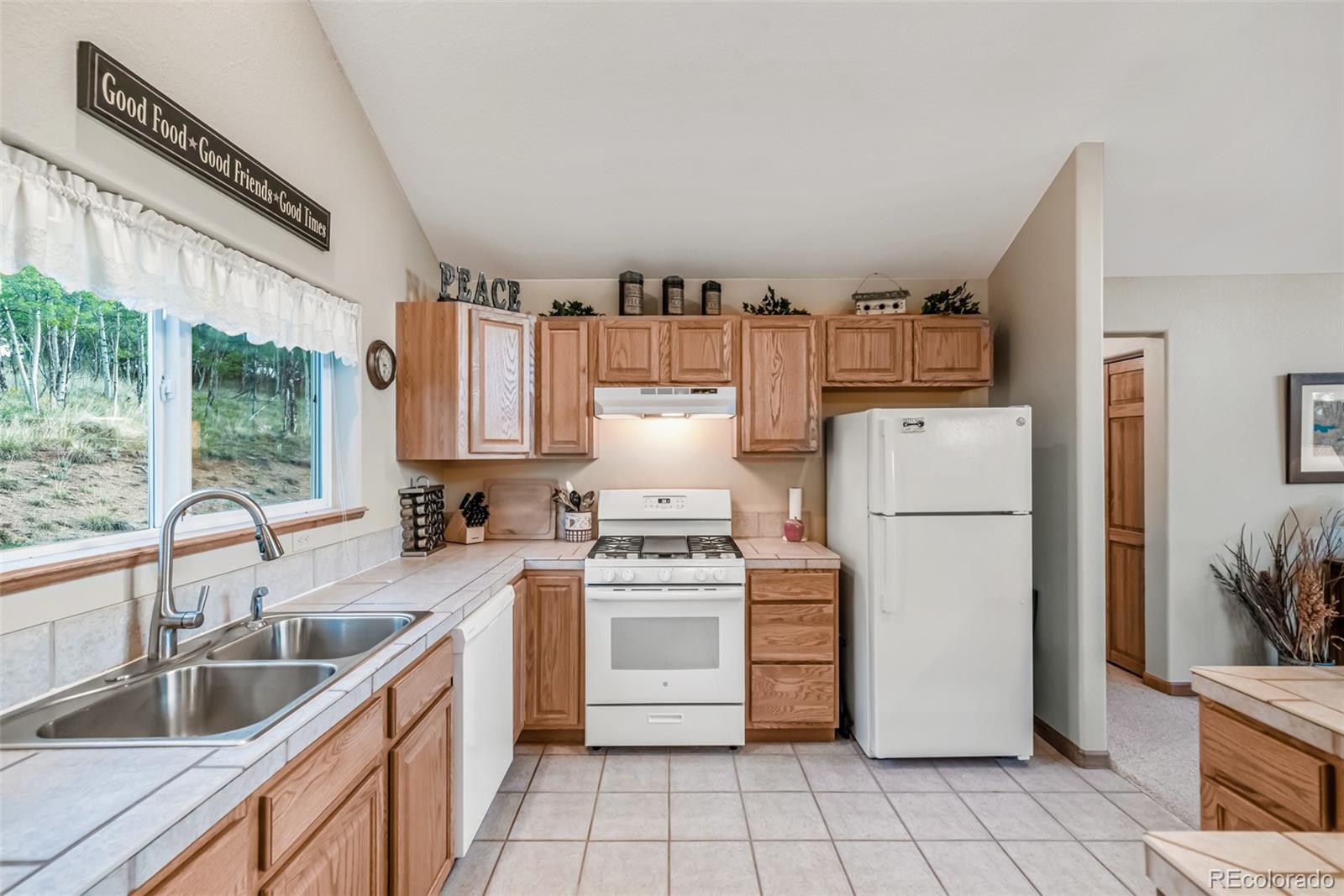 MLS Image #10 for 168  mountain vista ,como, Colorado