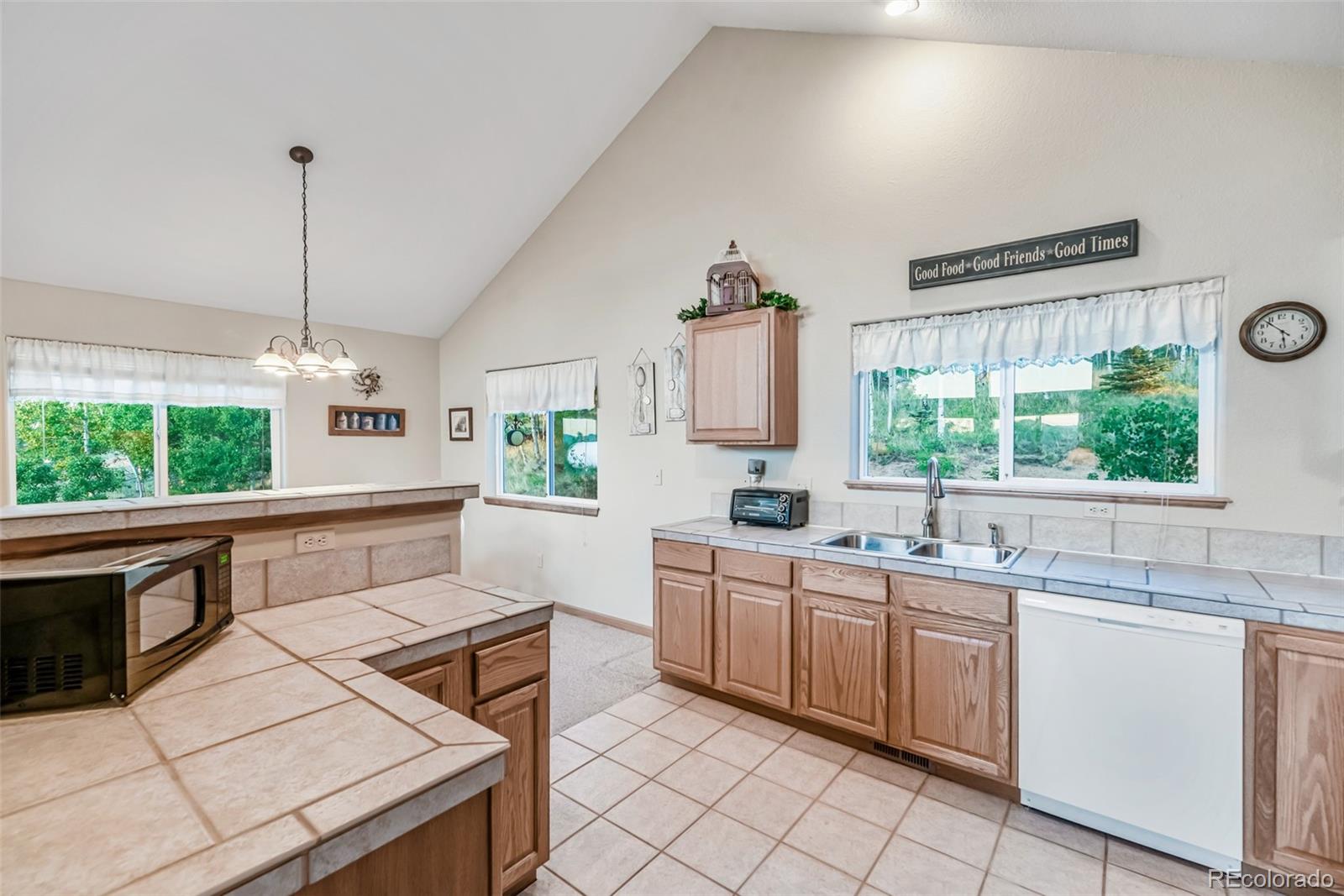 MLS Image #11 for 168  mountain vista ,como, Colorado