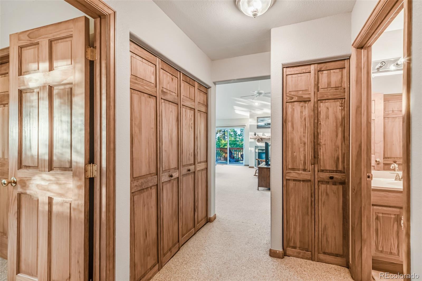 MLS Image #16 for 168  mountain vista ,como, Colorado