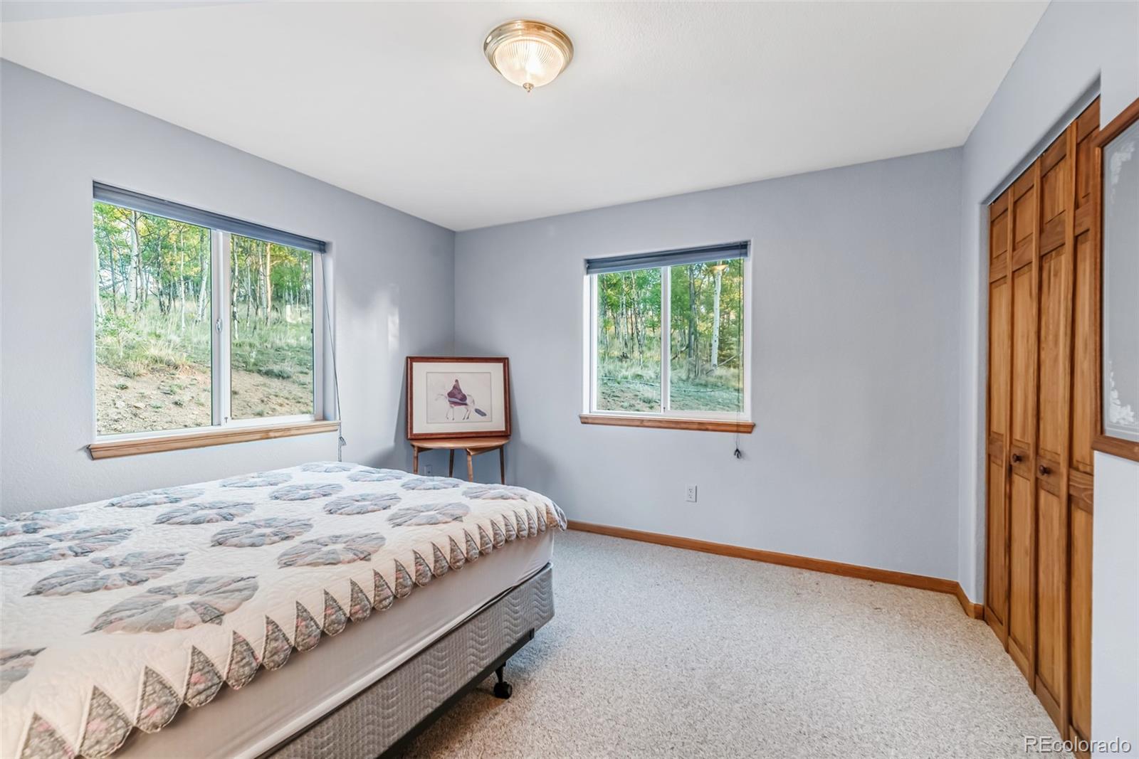 MLS Image #19 for 168  mountain vista ,como, Colorado