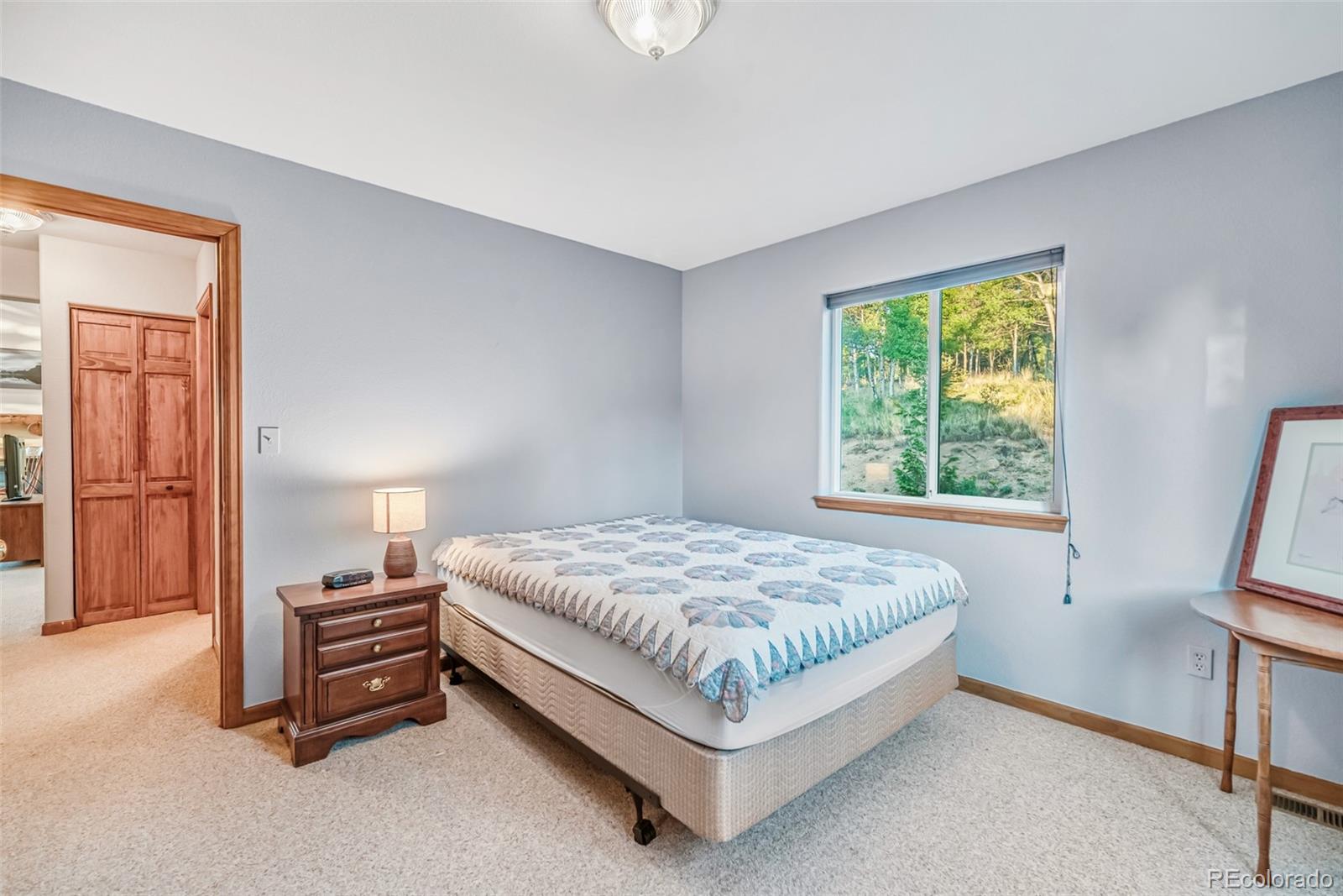 MLS Image #20 for 168  mountain vista ,como, Colorado