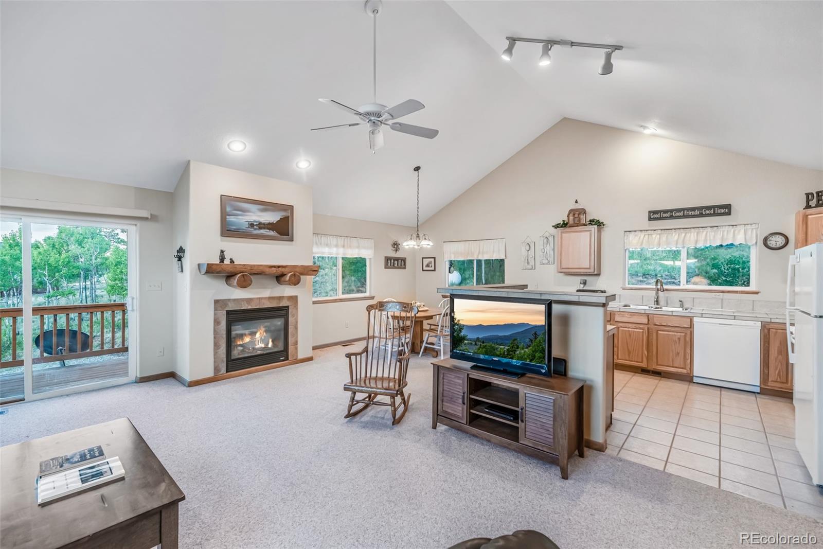 MLS Image #8 for 168  mountain vista ,como, Colorado