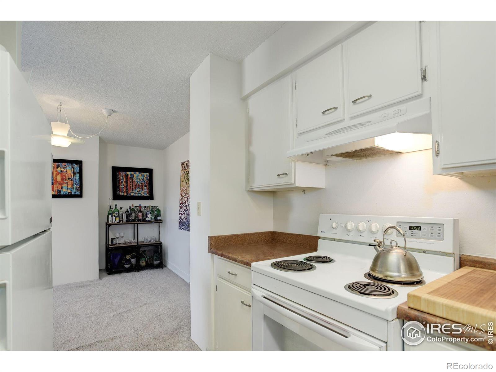 MLS Image #10 for 1850  folsom street,boulder, Colorado