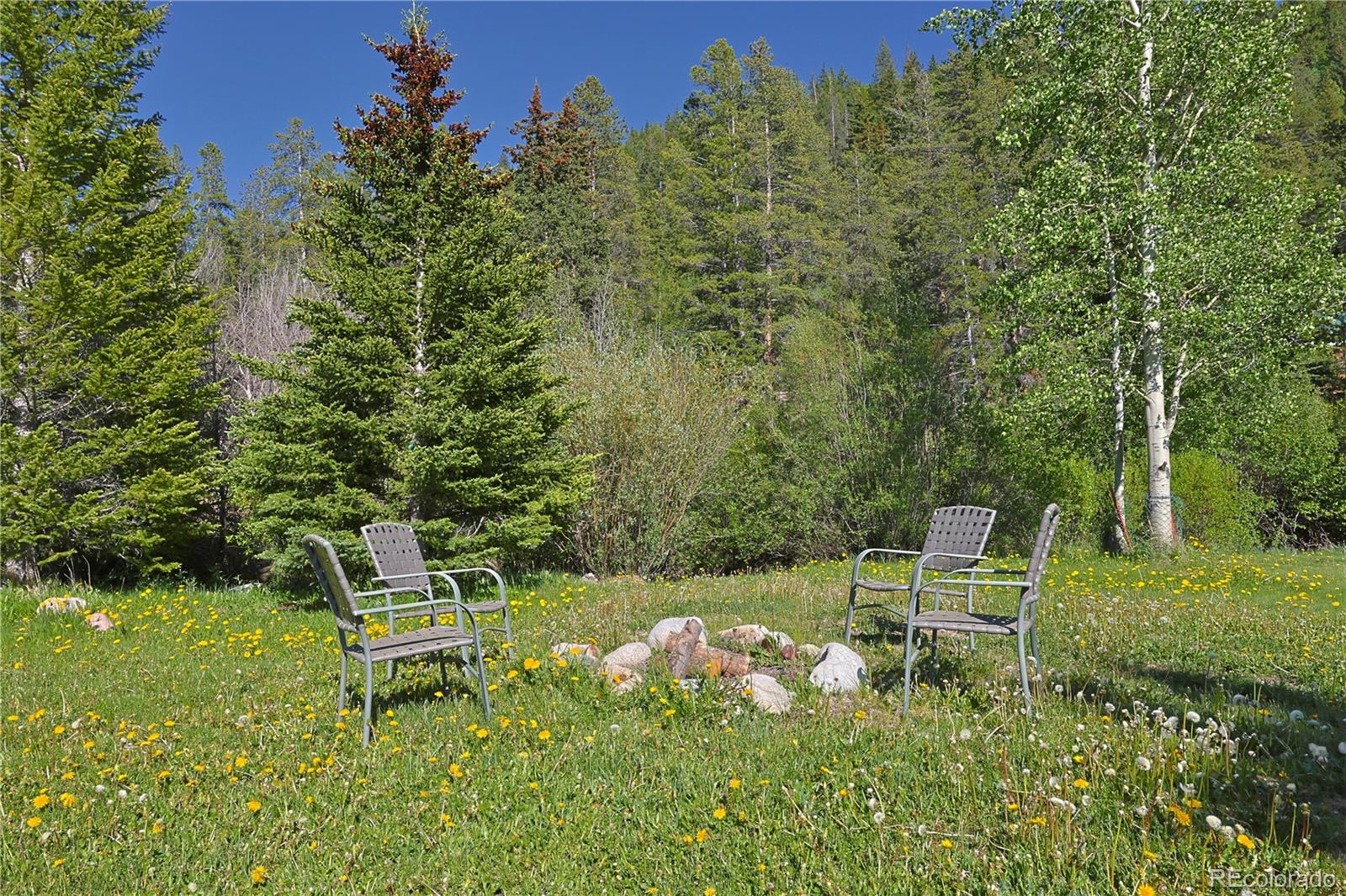 MLS Image #27 for 420  quarzt lane,pitkin, Colorado