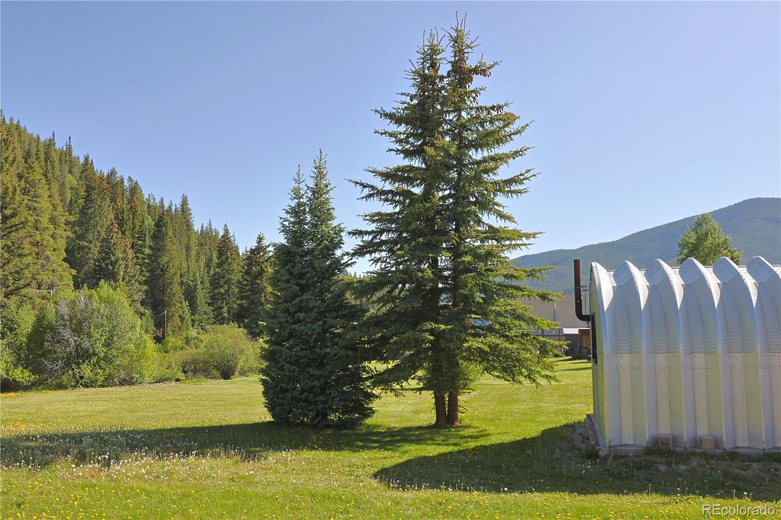 MLS Image #29 for 420  quarzt lane,pitkin, Colorado
