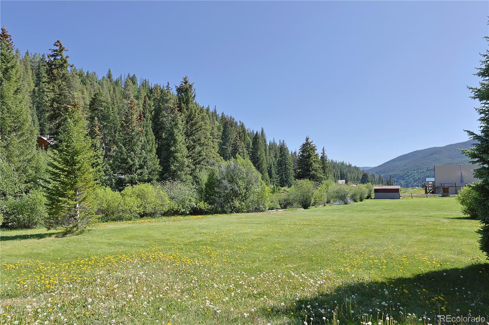 MLS Image #6 for 420  quarzt lane,pitkin, Colorado