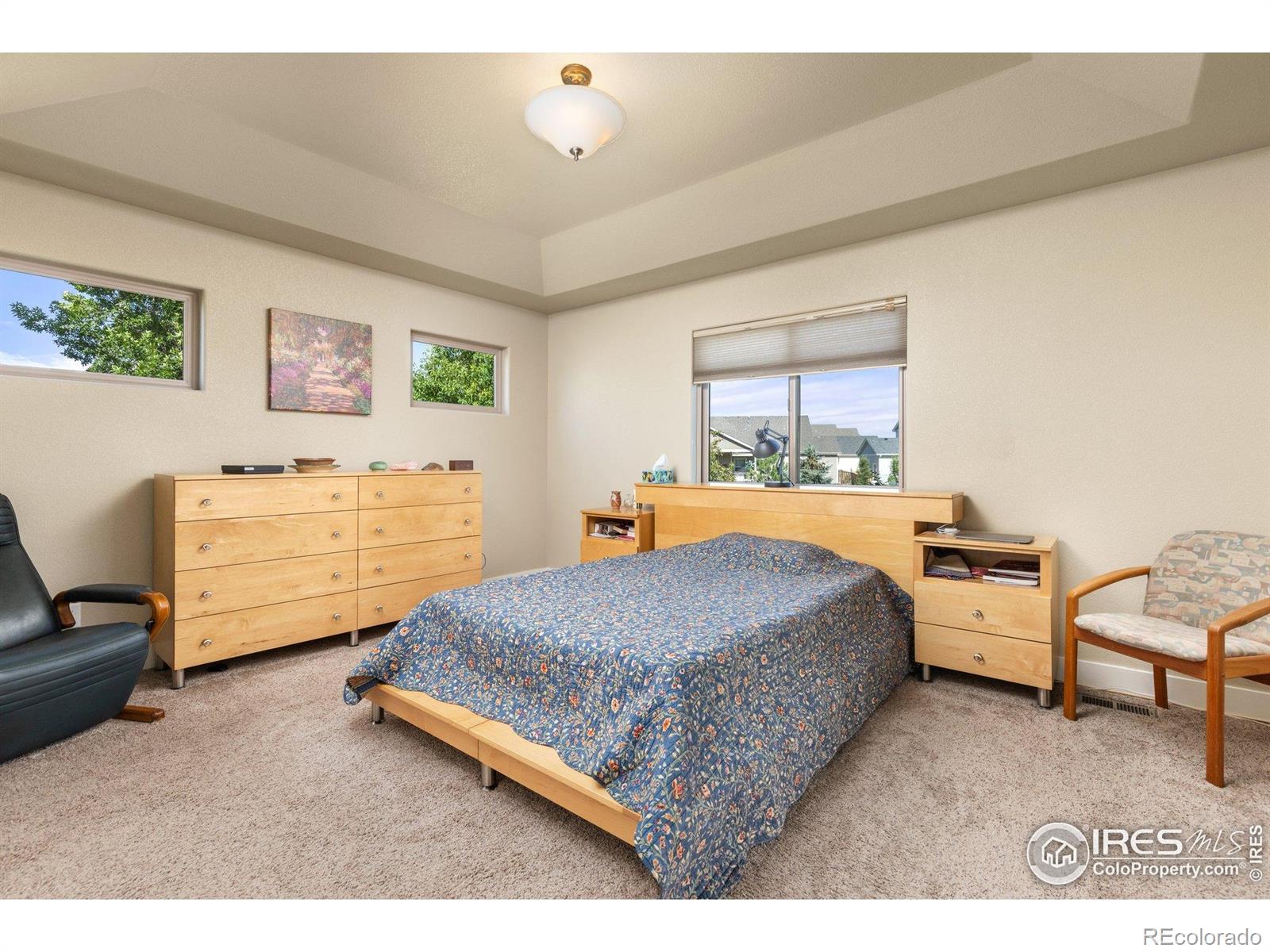 MLS Image #12 for 5254  rock hill street,timnath, Colorado