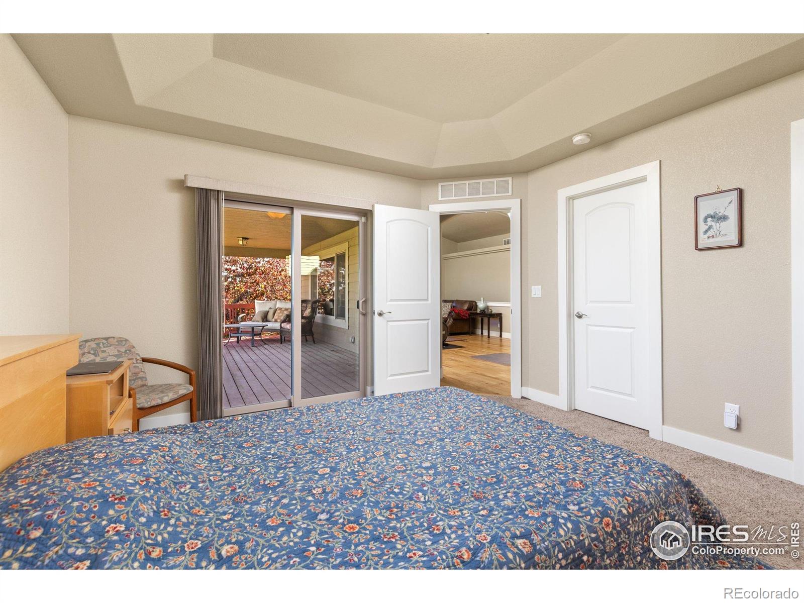 MLS Image #13 for 5254  rock hill street,timnath, Colorado