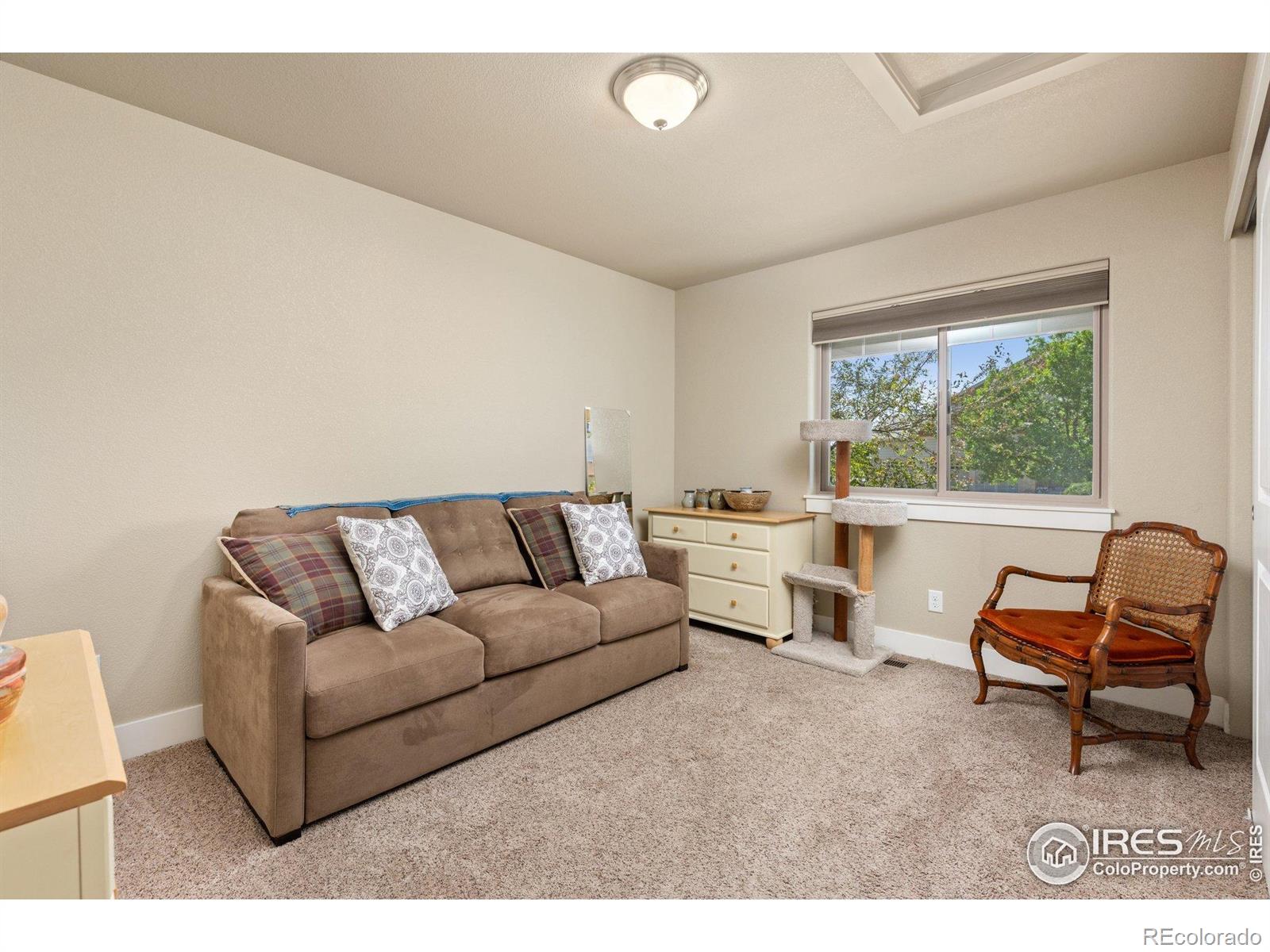 MLS Image #17 for 5254  rock hill street,timnath, Colorado
