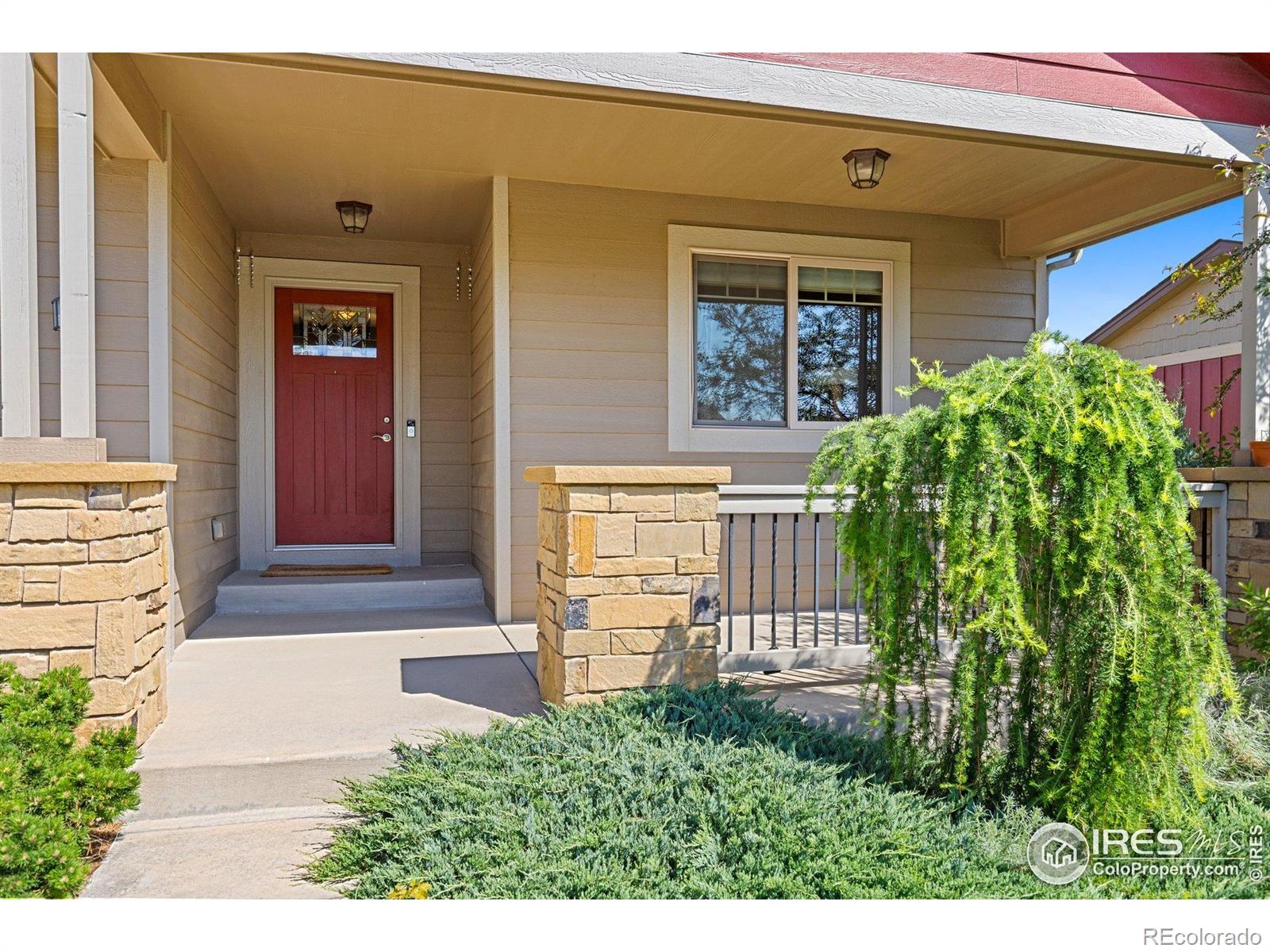 MLS Image #3 for 5254  rock hill street,timnath, Colorado