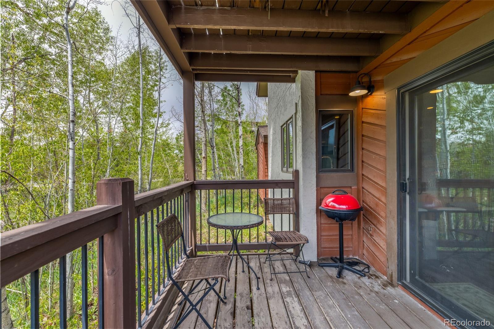 MLS Image #10 for 1655  ranch road,steamboat springs, Colorado