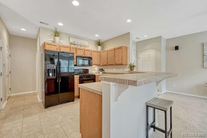 MLS Image #8 for 17225  lark water lane c,parker, Colorado
