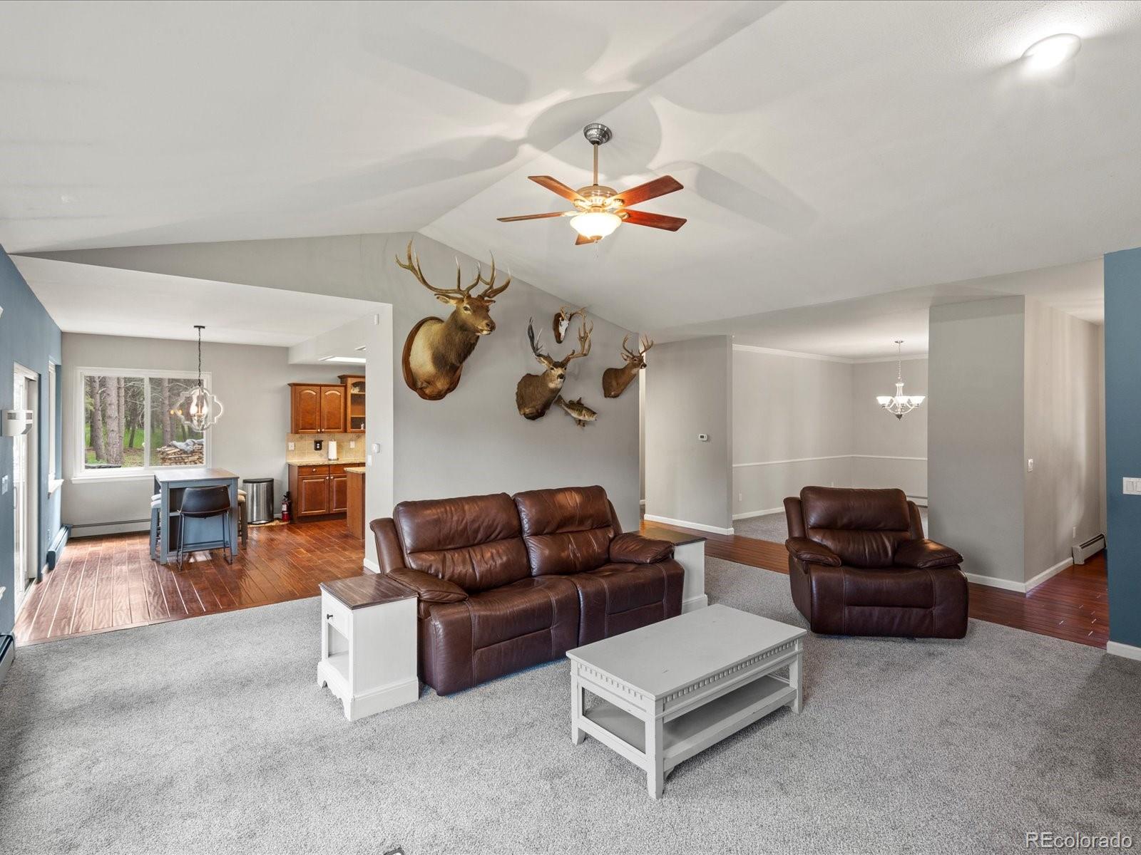 MLS Image #10 for 20125  indi drive,monument, Colorado