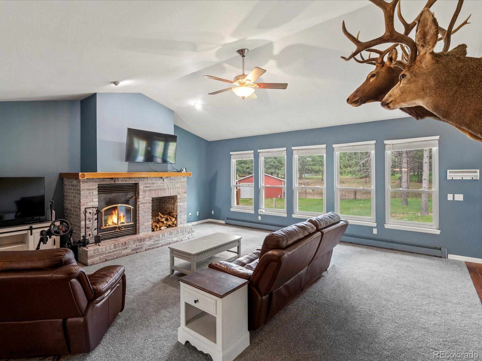 MLS Image #8 for 20125  indi drive,monument, Colorado