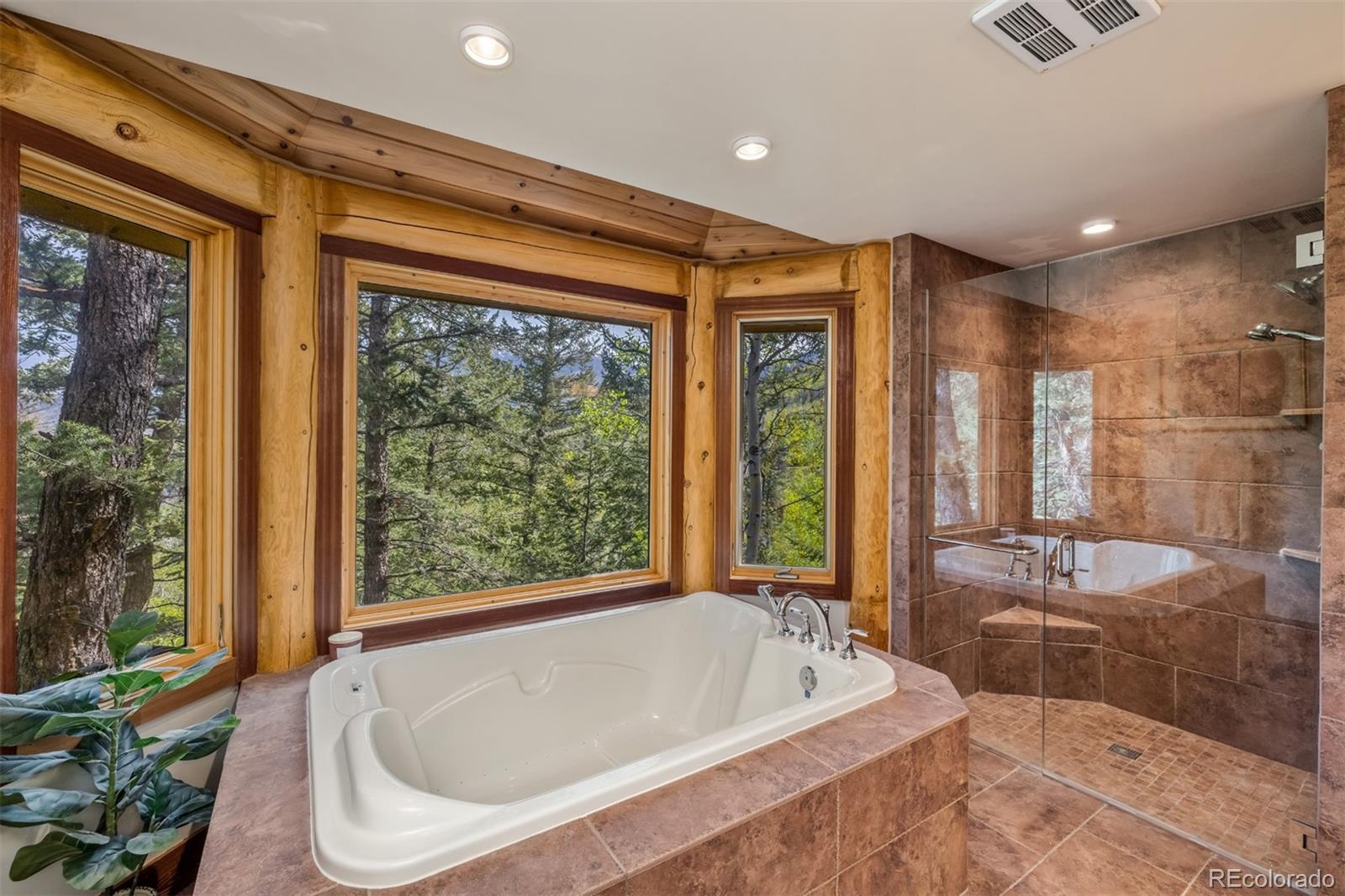 MLS Image #20 for 2244  johnson road,silverthorne, Colorado