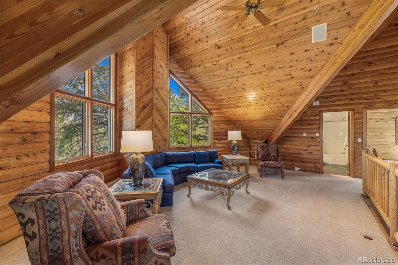 MLS Image #22 for 2244  johnson road,silverthorne, Colorado