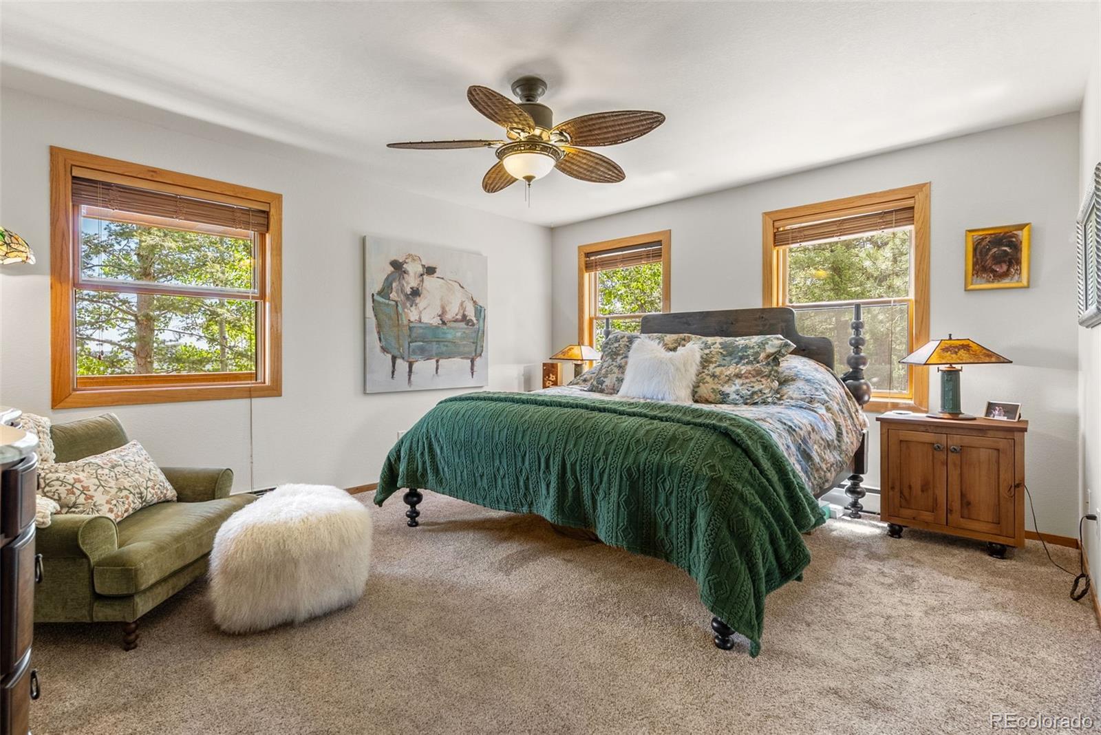 MLS Image #30 for 192  nova drive,pine, Colorado