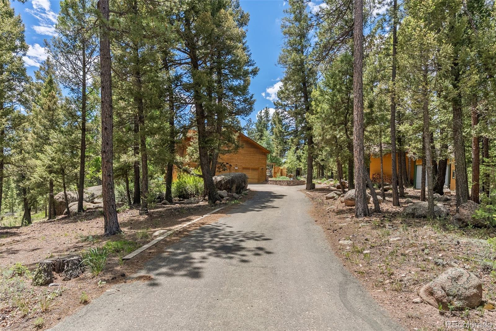 MLS Image #44 for 192  nova drive,pine, Colorado