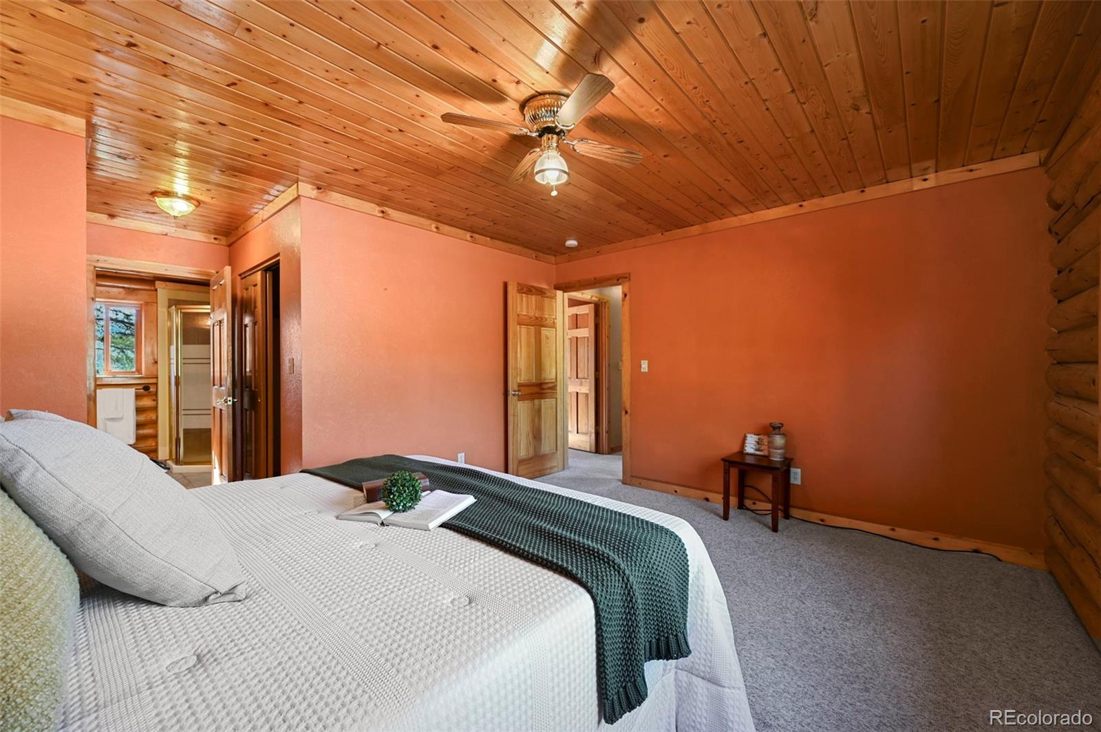 MLS Image #10 for 37  surrey lane,florissant, Colorado
