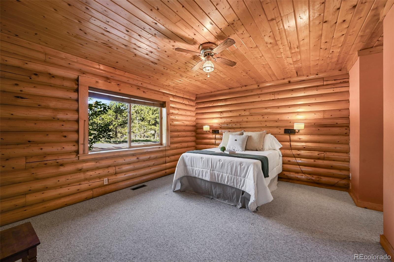 MLS Image #9 for 37  surrey lane,florissant, Colorado