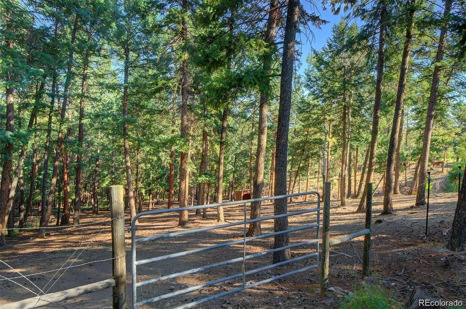 MLS Image #42 for 10381  hondah drive,littleton, Colorado