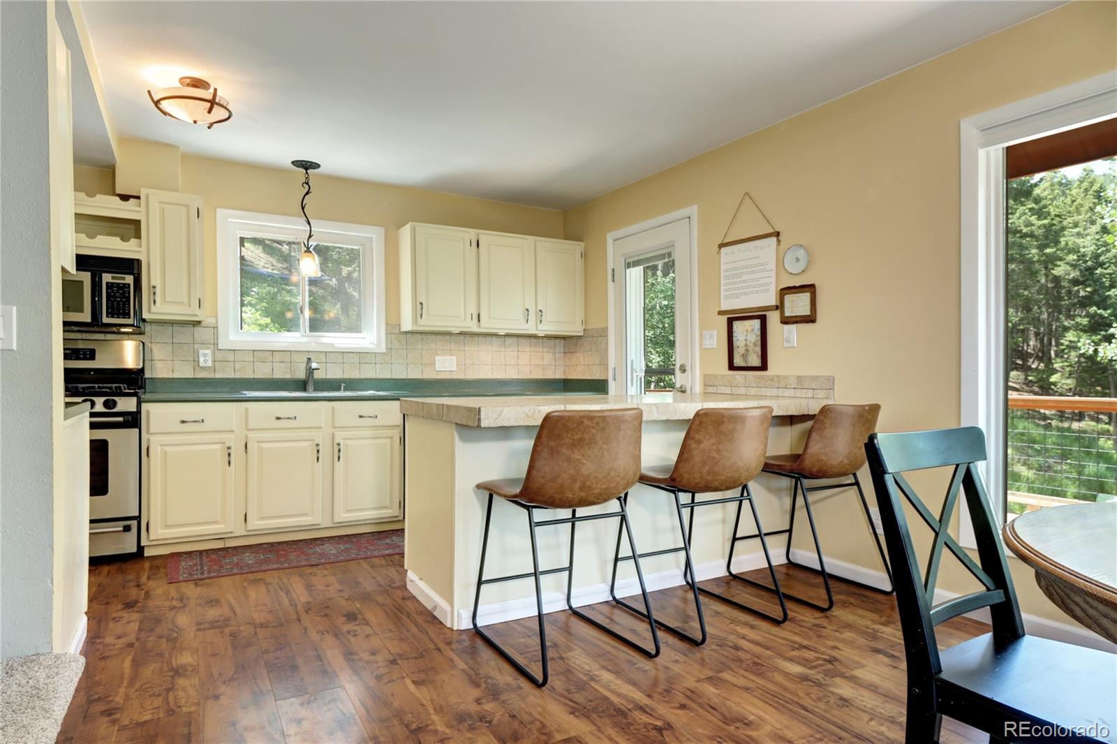 MLS Image #7 for 10381  hondah drive,littleton, Colorado