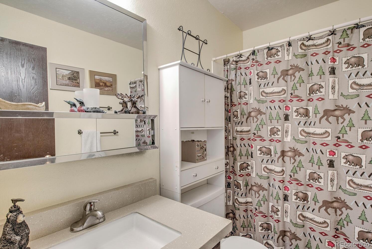 MLS Image #16 for 9800  ryan gulch road,silverthorne, Colorado