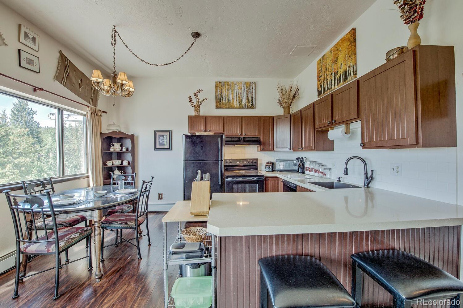 MLS Image #6 for 9800  ryan gulch road,silverthorne, Colorado