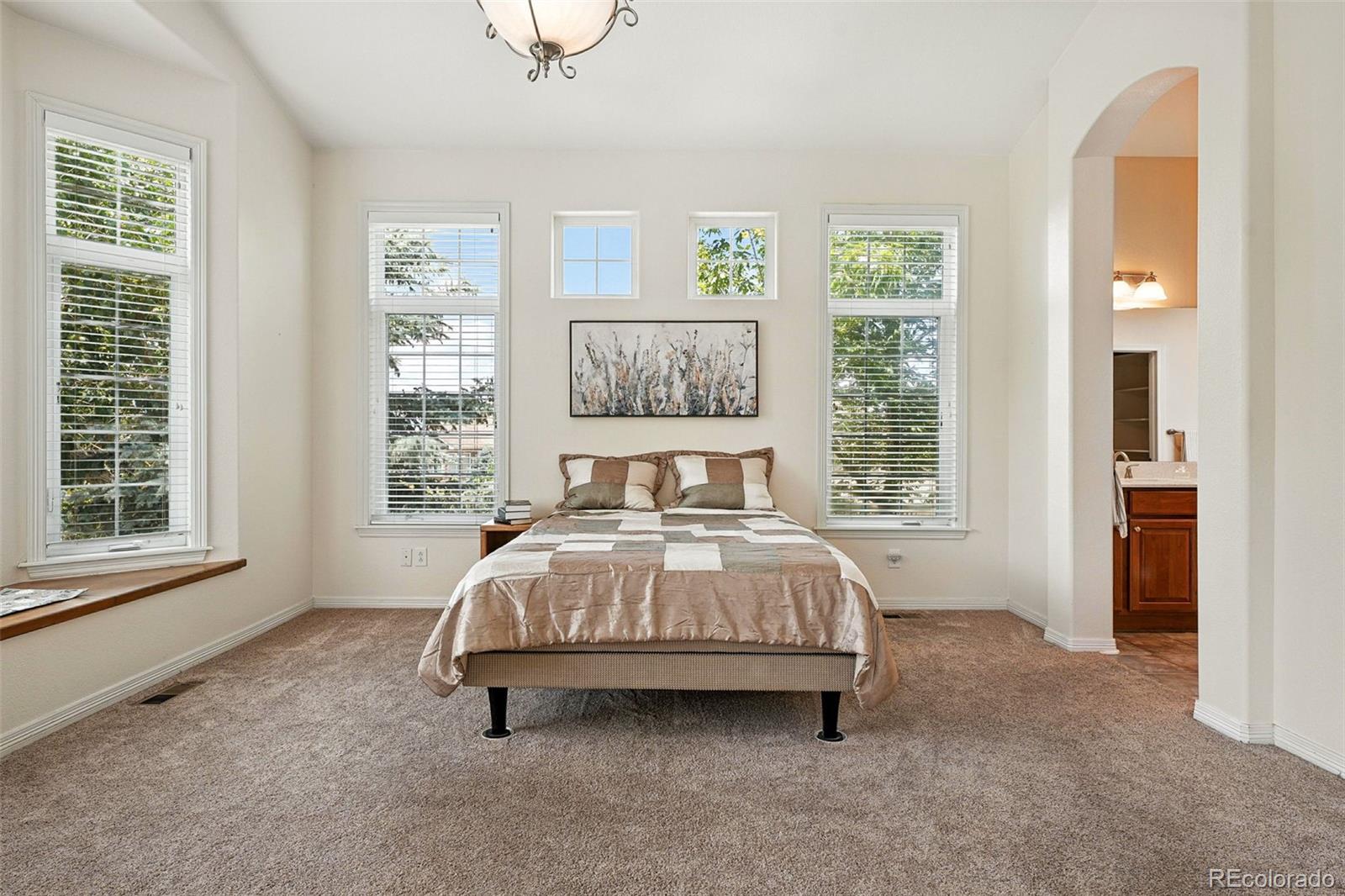 MLS Image #26 for 4944 w 107th loop,westminster, Colorado