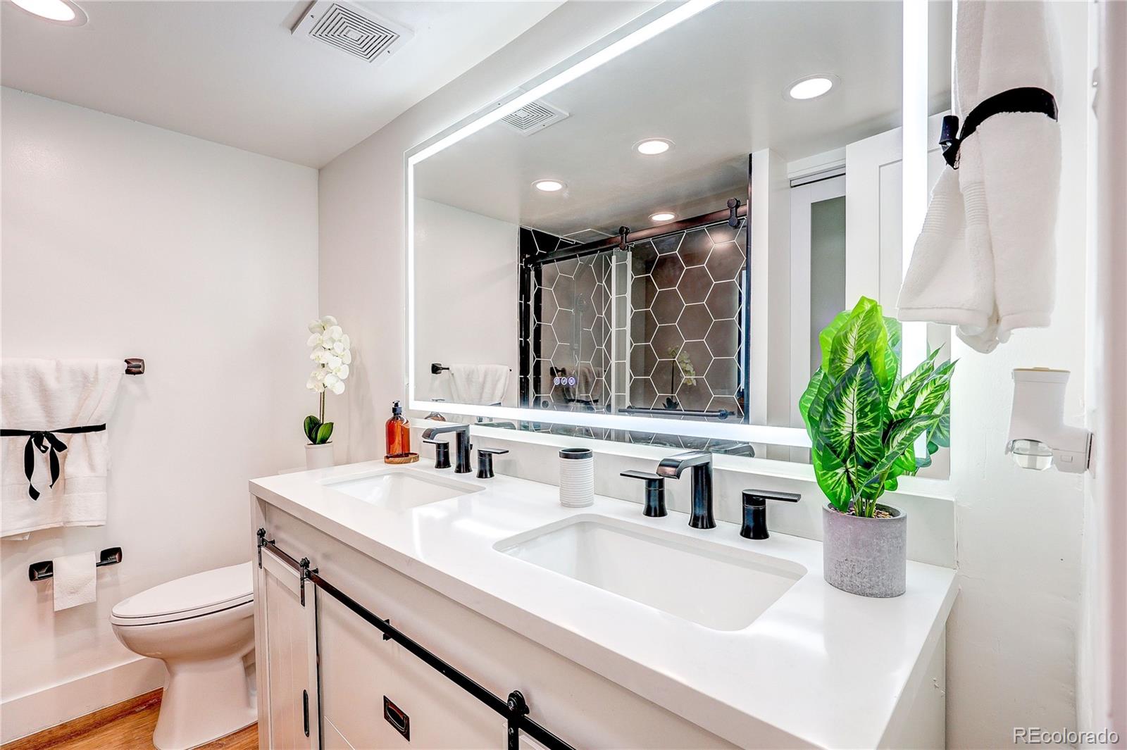 MLS Image #2 for 1250 n humboldt street,denver, Colorado