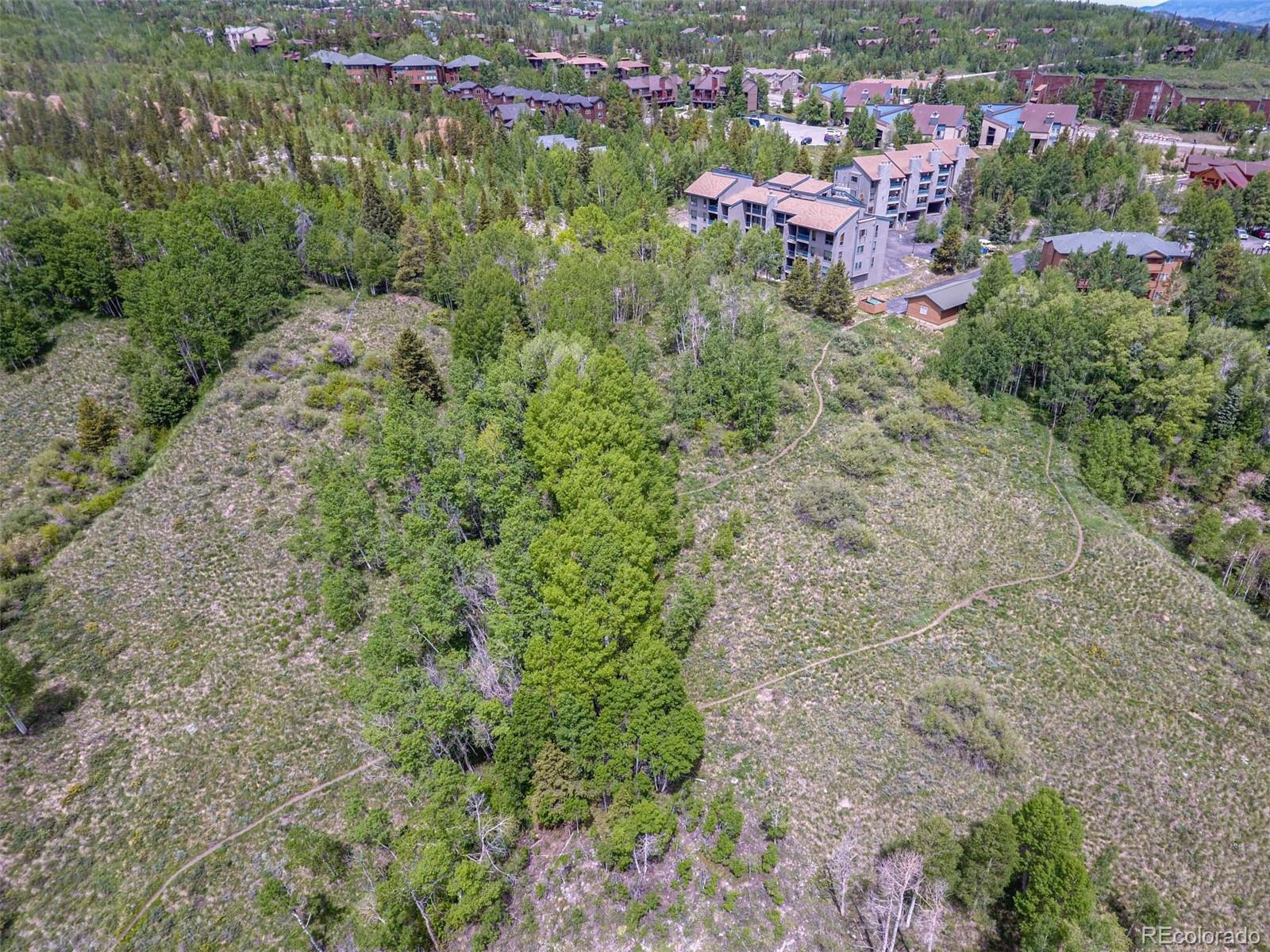 MLS Image #10 for 101  ryan gulch court,silverthorne, Colorado