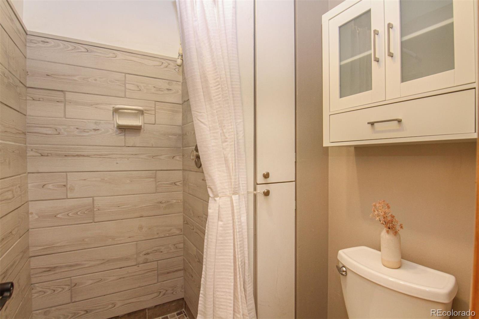MLS Image #16 for 101  ryan gulch court,silverthorne, Colorado