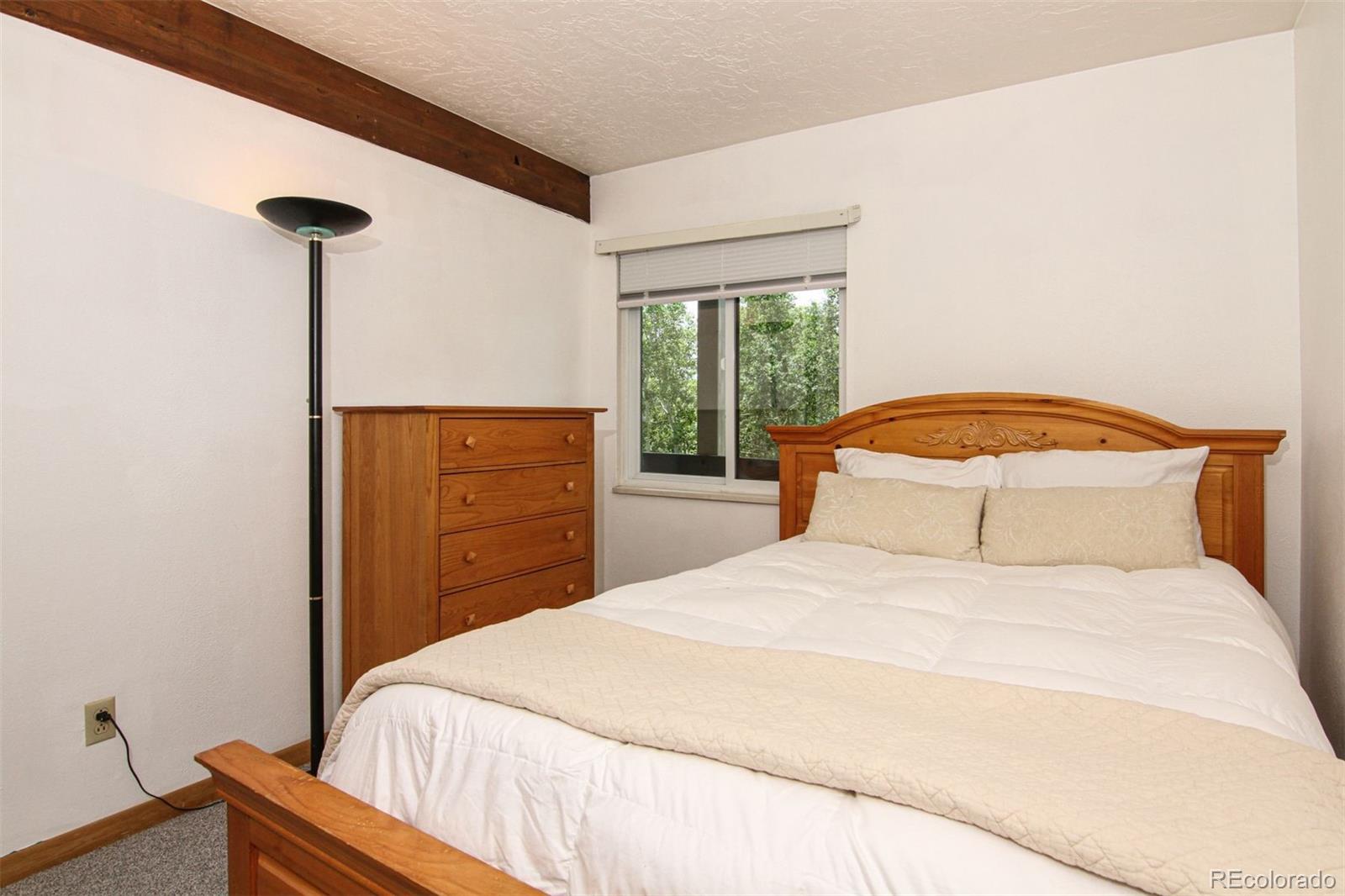 MLS Image #18 for 101  ryan gulch court,silverthorne, Colorado