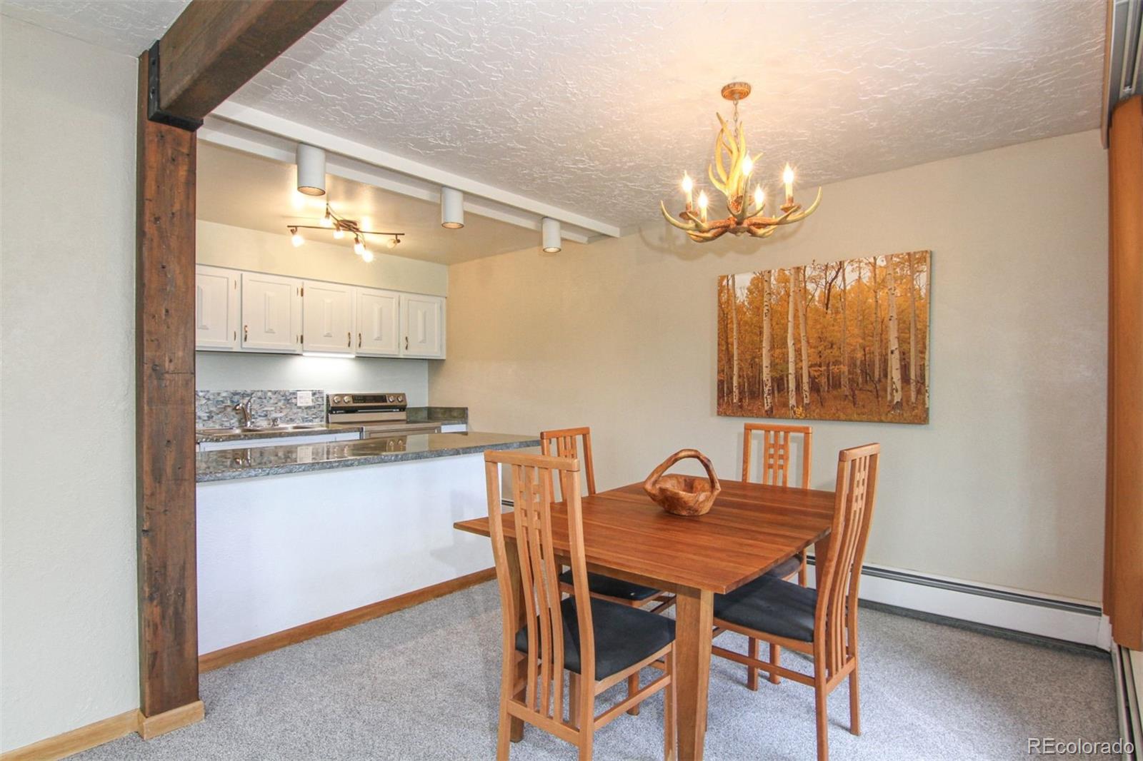MLS Image #21 for 101  ryan gulch court,silverthorne, Colorado