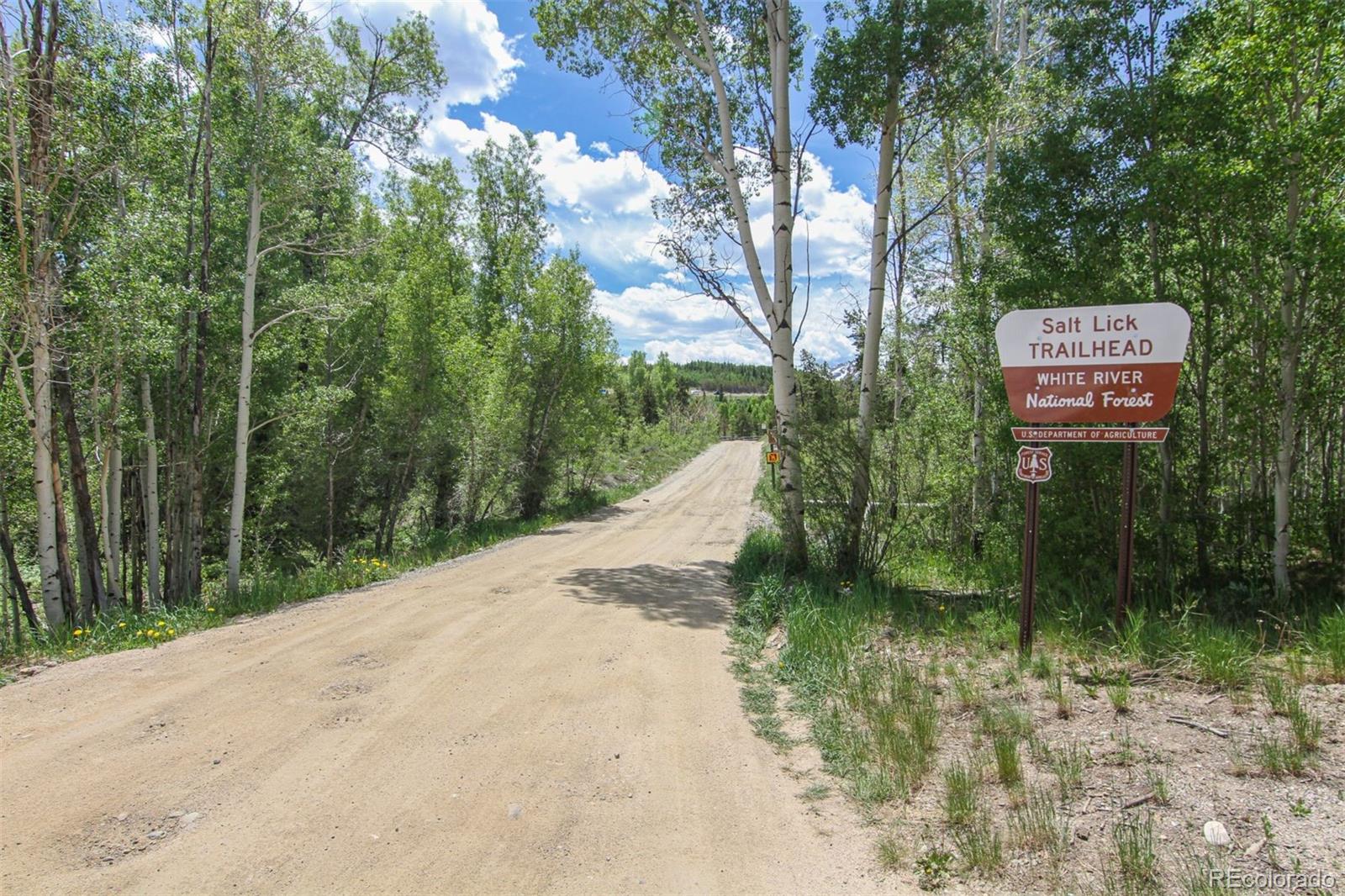 MLS Image #30 for 101  ryan gulch court,silverthorne, Colorado