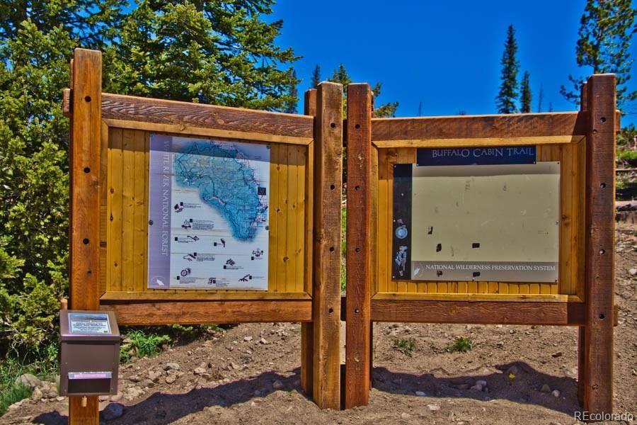 MLS Image #33 for 101  ryan gulch court,silverthorne, Colorado