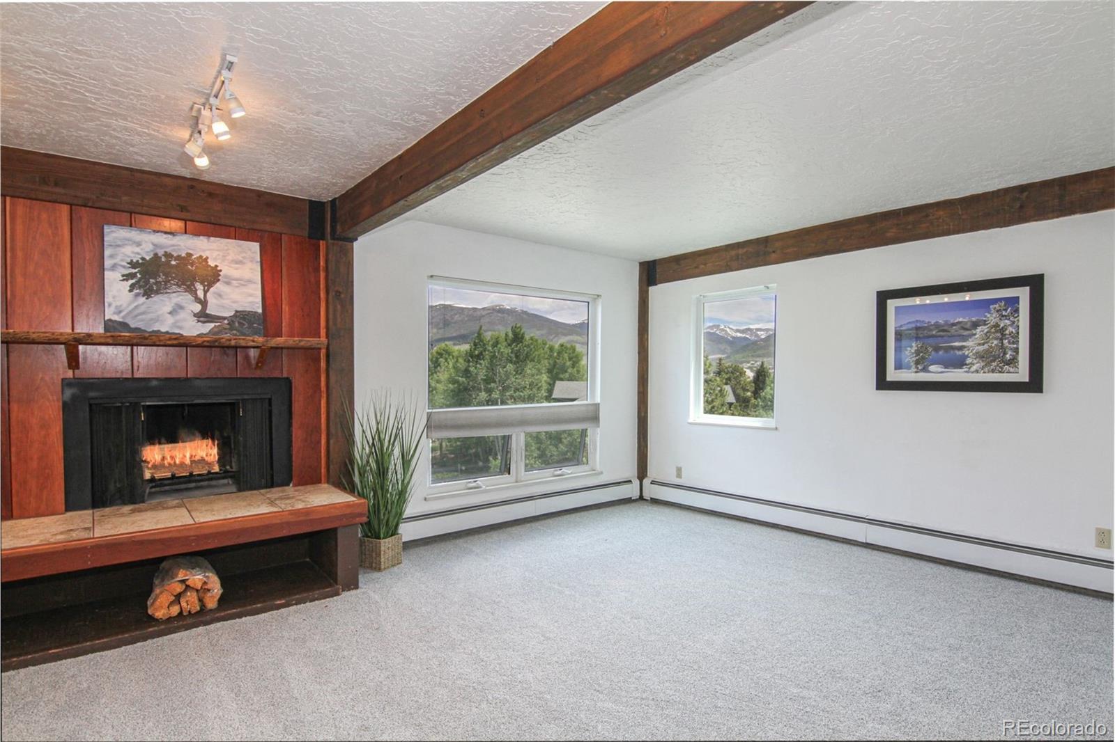 MLS Image #7 for 101  ryan gulch court,silverthorne, Colorado