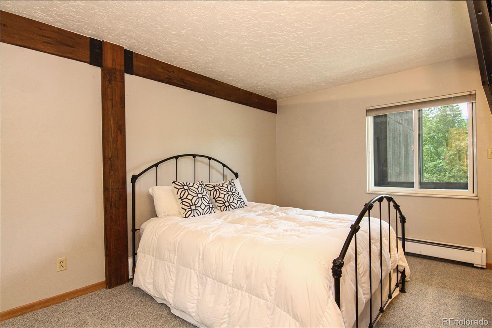 MLS Image #9 for 101  ryan gulch court,silverthorne, Colorado
