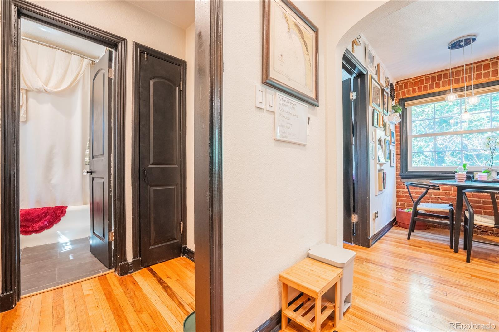 MLS Image #21 for 1365 n corona street,denver, Colorado