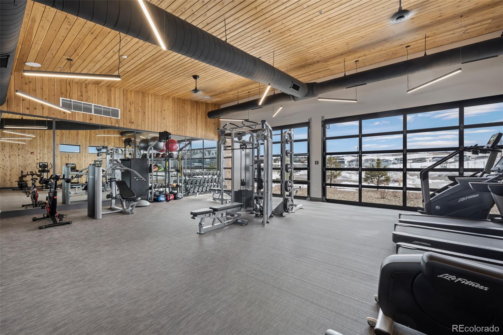 MLS Image #45 for 624  simmental loop,castle rock, Colorado